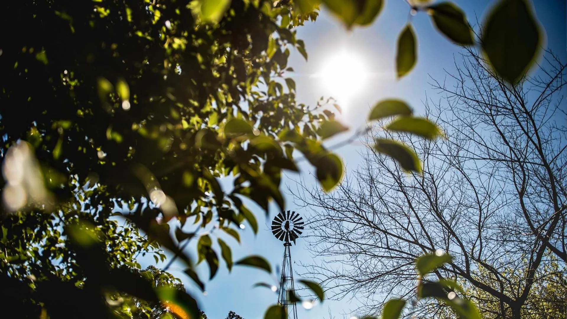 Patio in Posada Mendoza by DOT Tradition