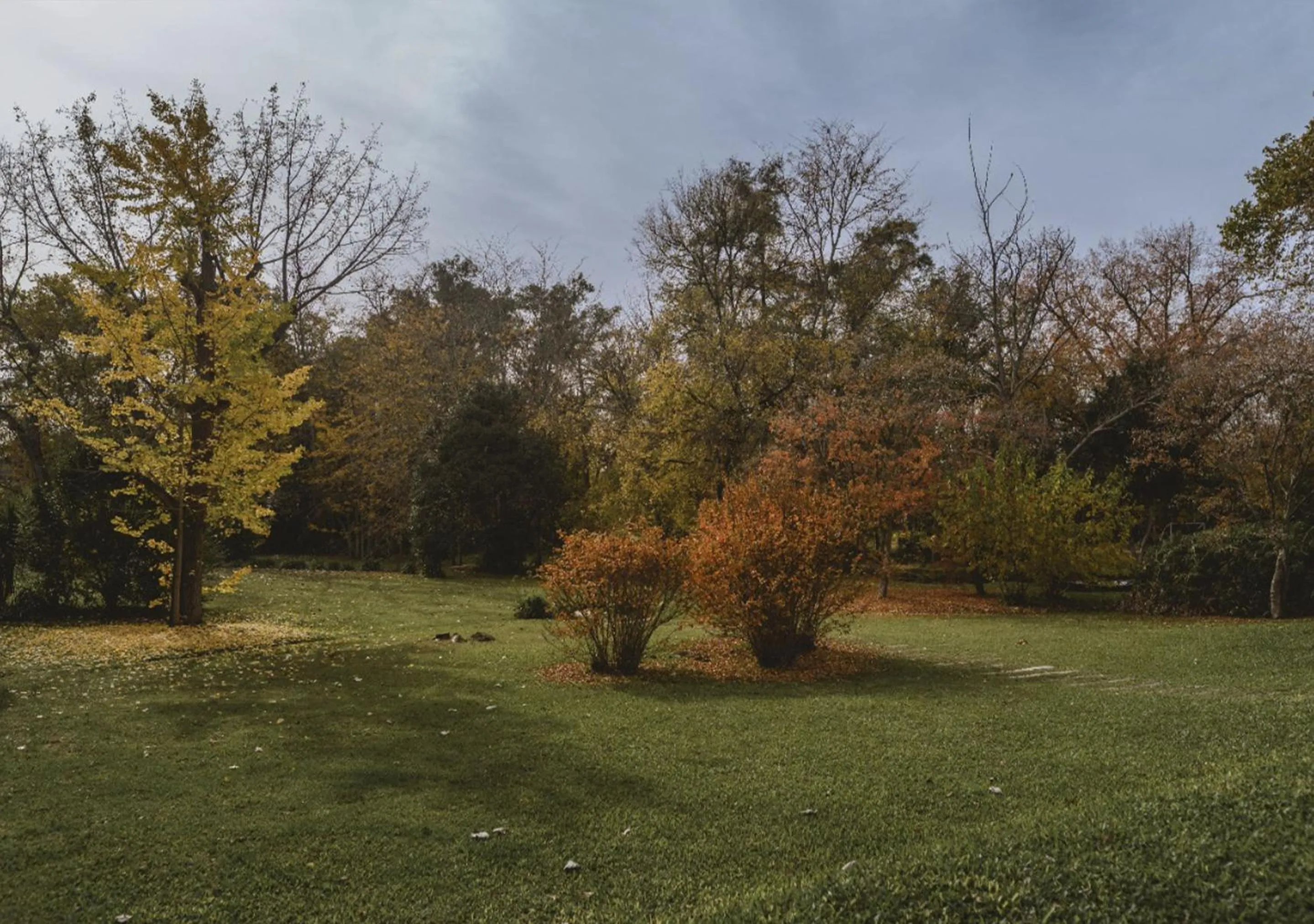 Patio in Posada Mendoza by DOT Tradition
