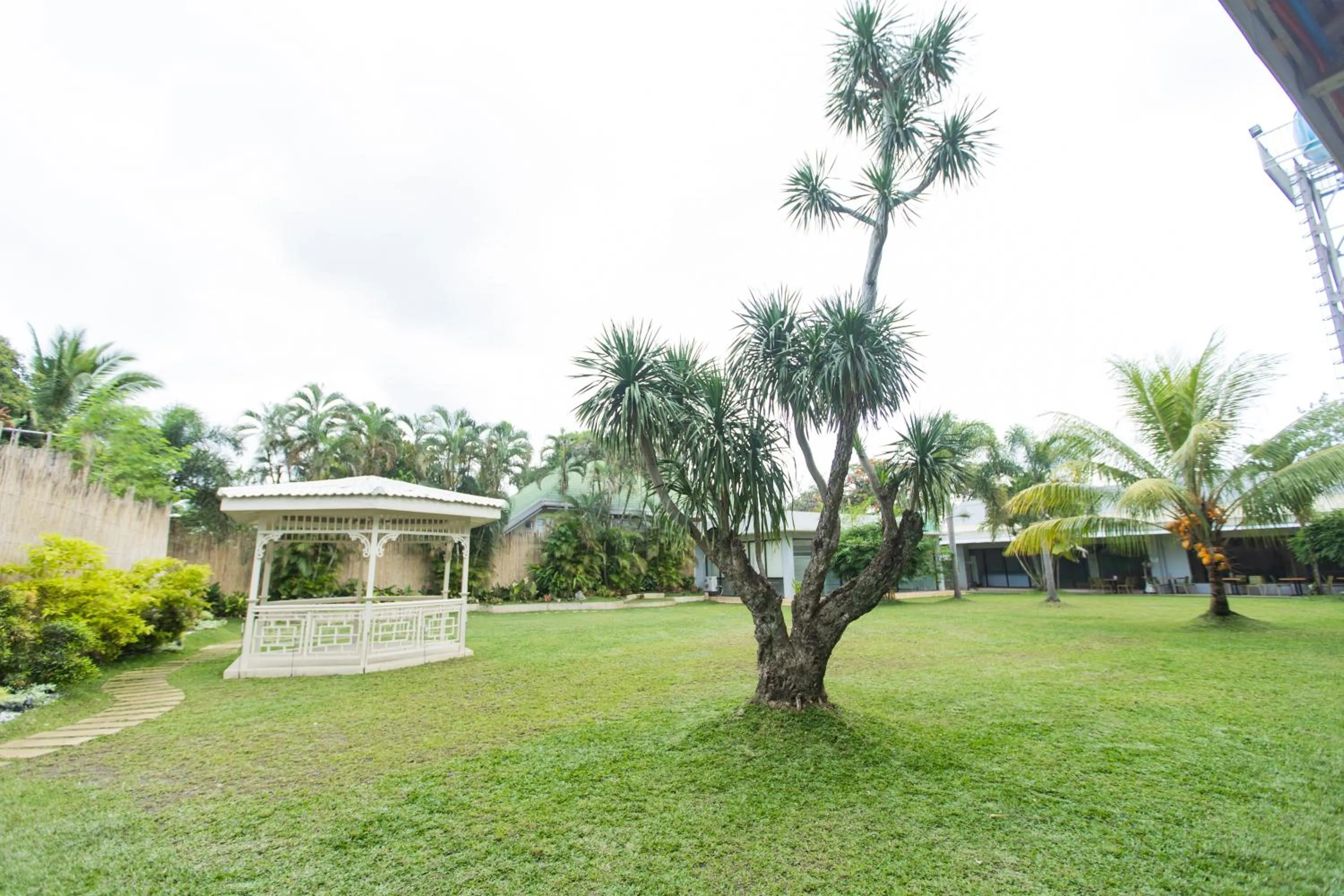 Garden in Hotel Valencia
