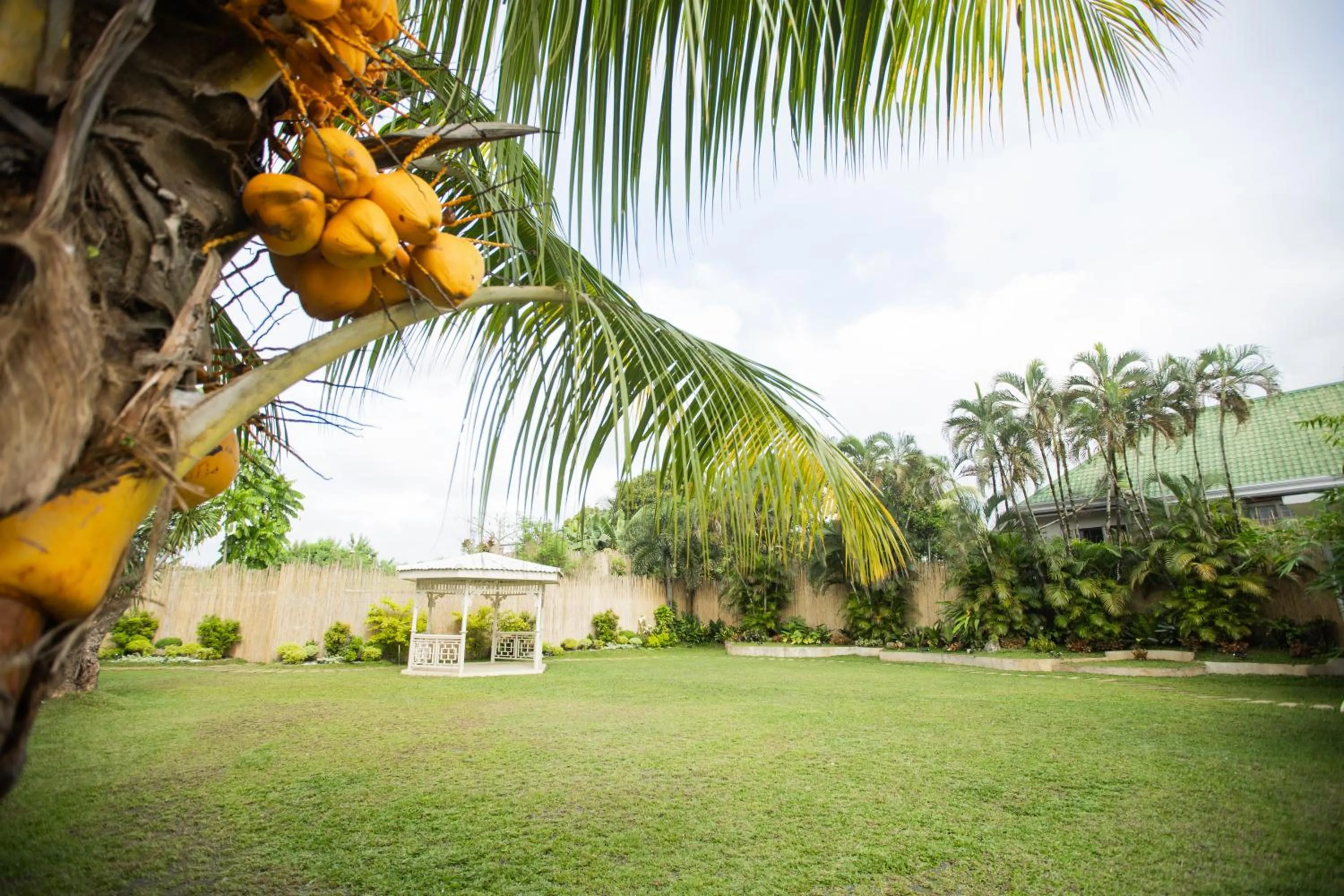 Garden in Hotel Valencia