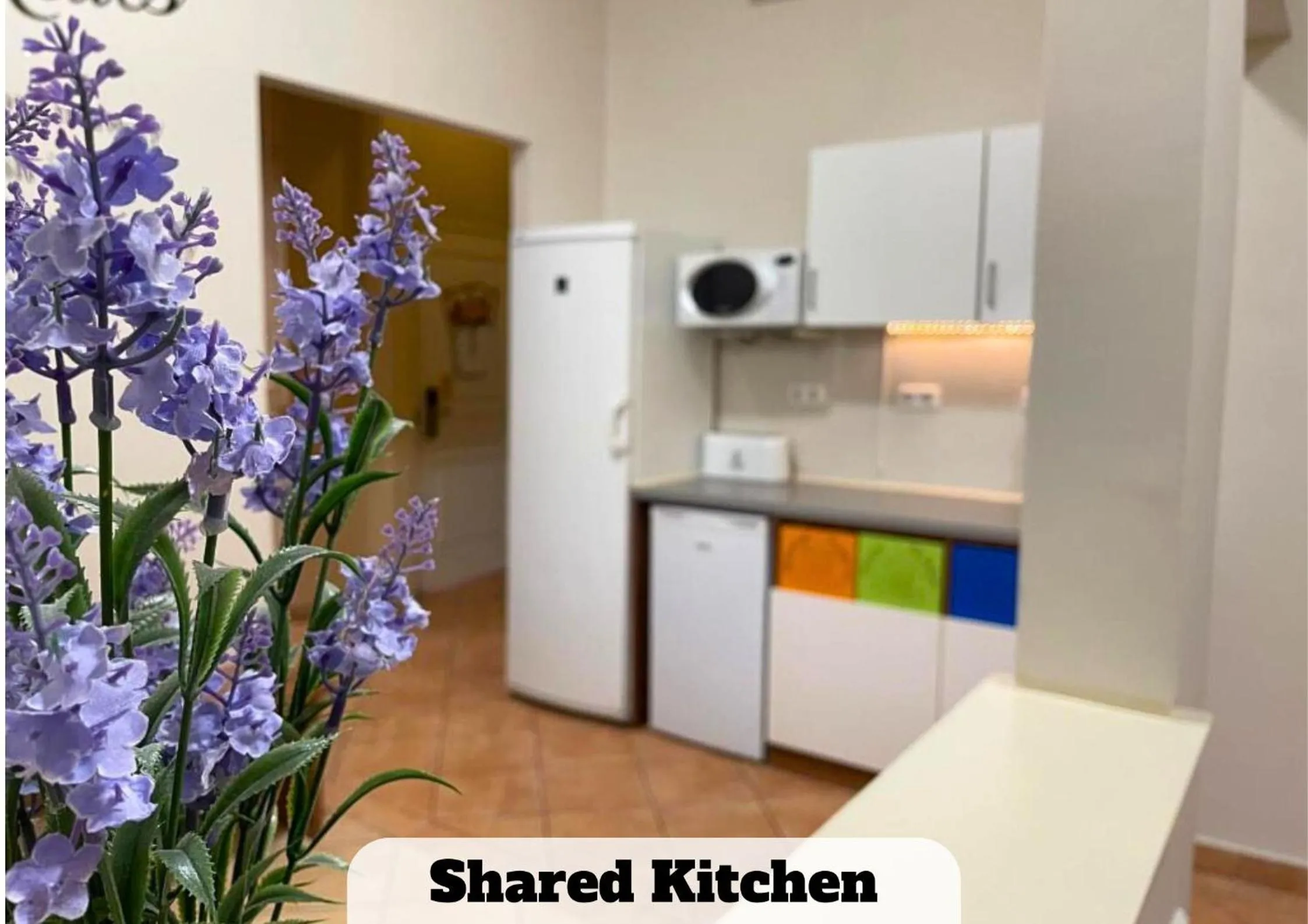 Kitchen or kitchenette in Black Sheep Budapest Smart Rooms