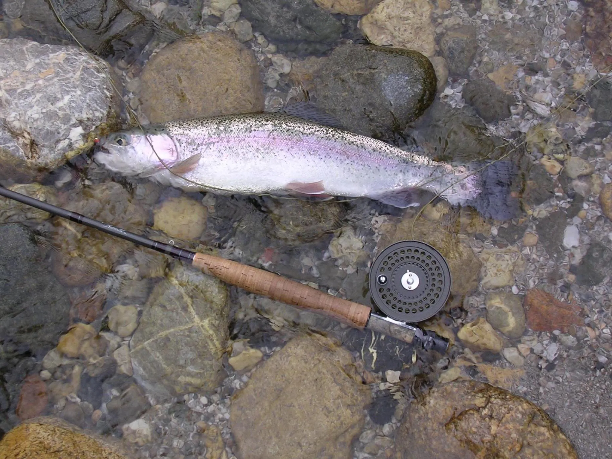 Fishing in Bavaria Biohotel