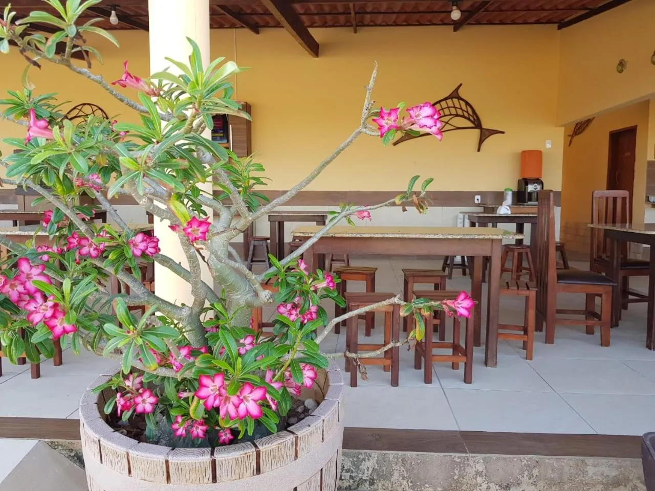 Seating area in Pousada Sonho de Mar