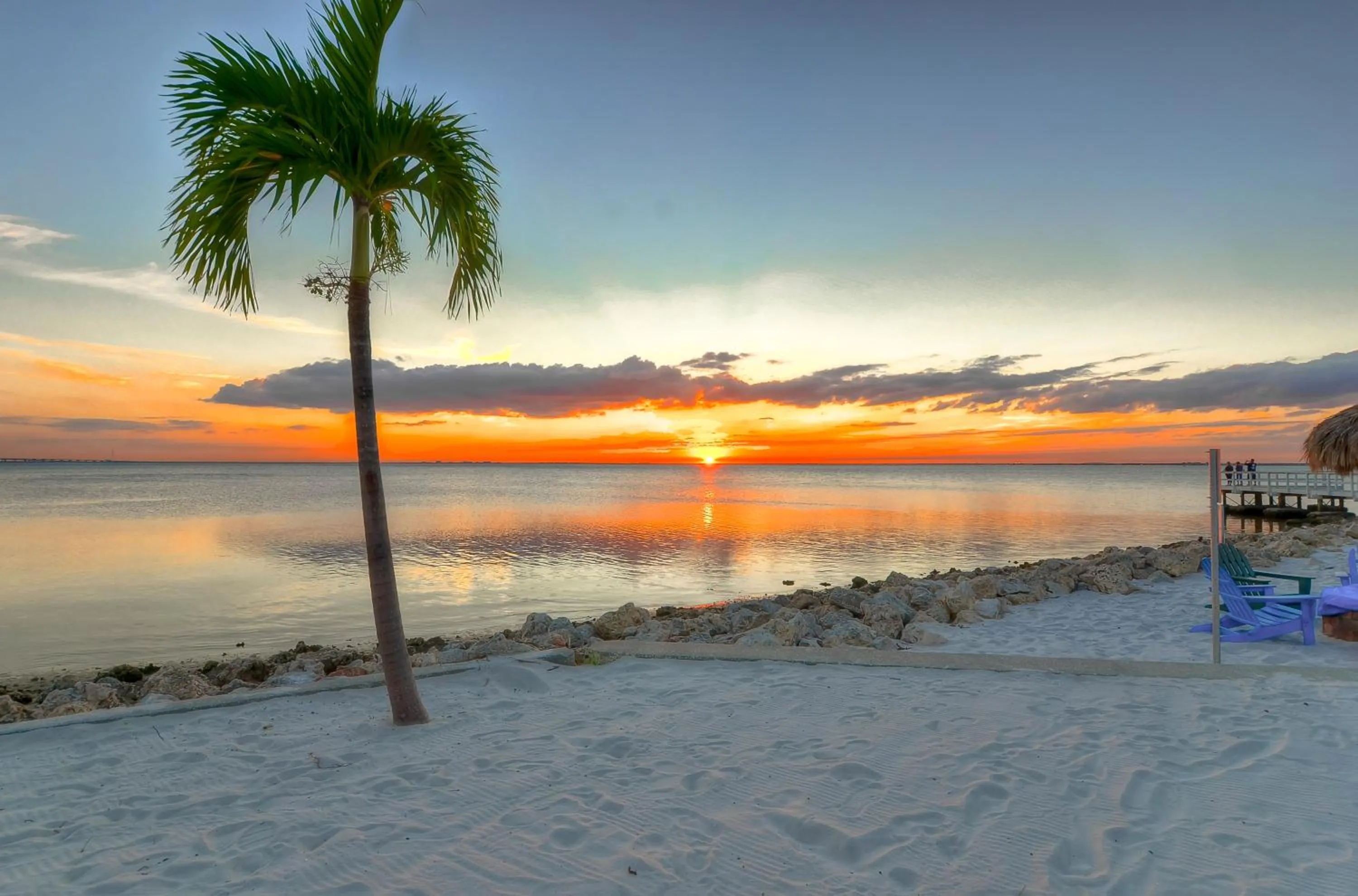 Sunset in 227-WIFI, New Paint, AMAZING Views, Close to BUCS stadium