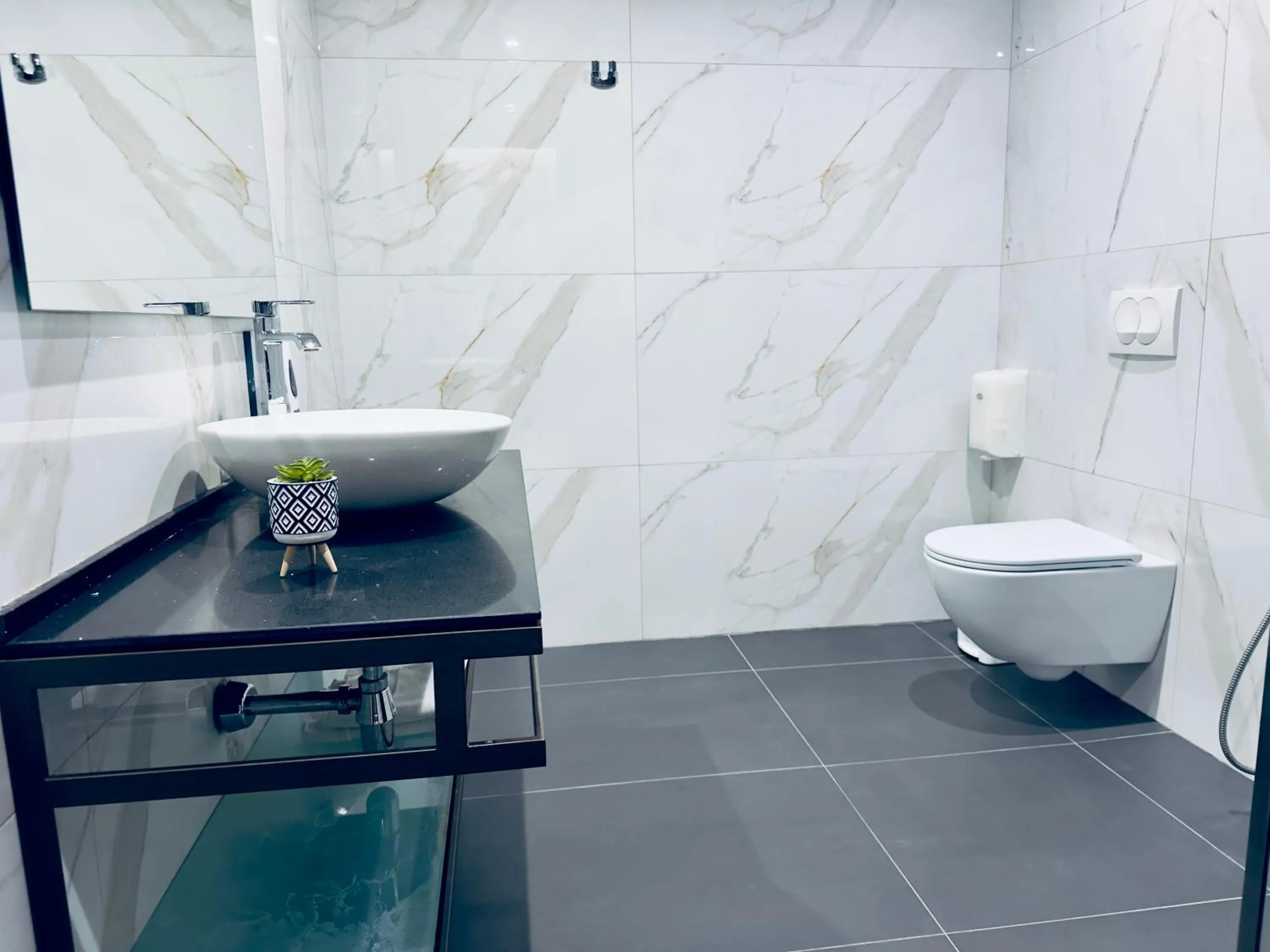 Toilet in Hotel Olive