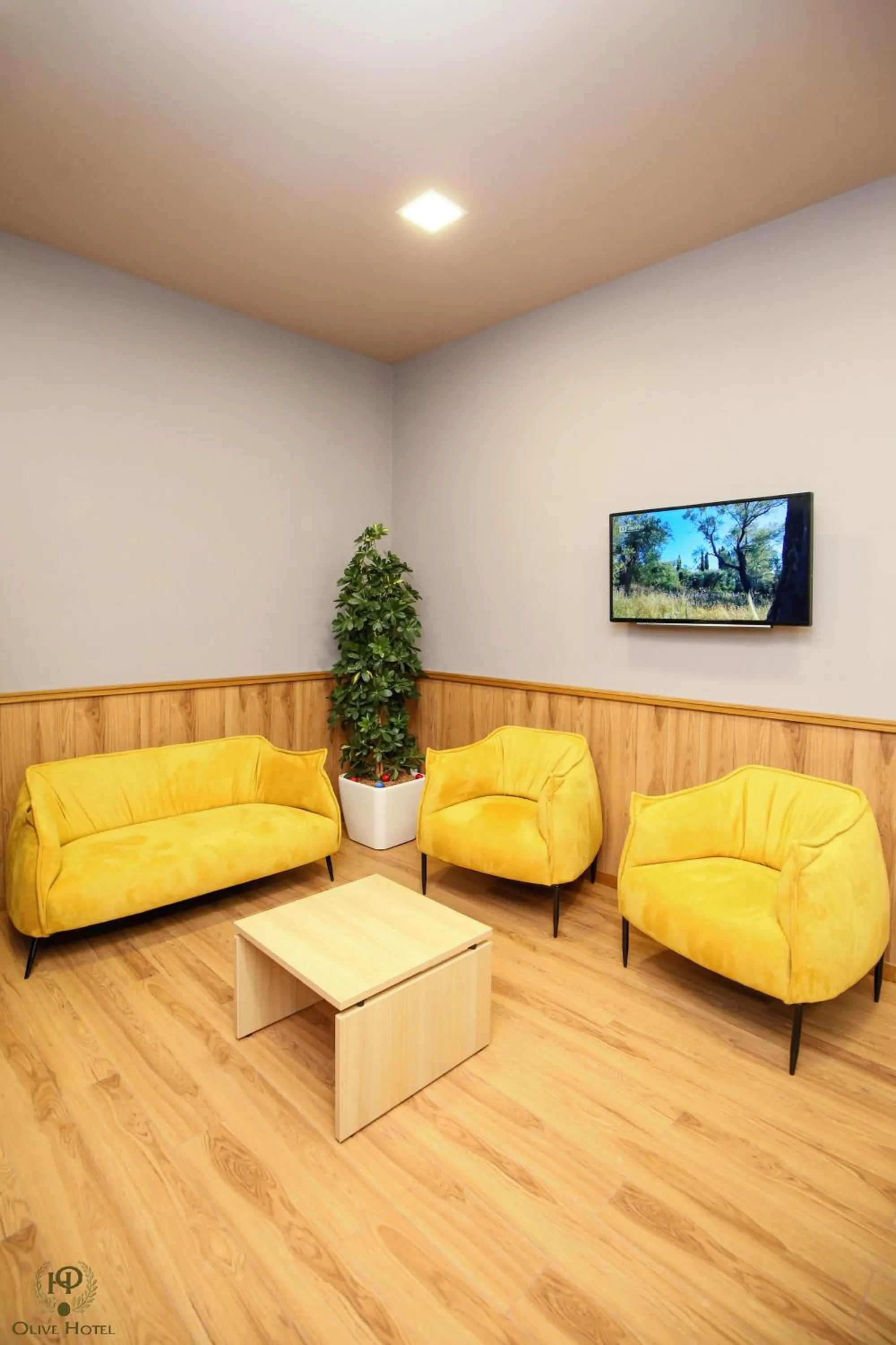 Seating area in Hotel Olive