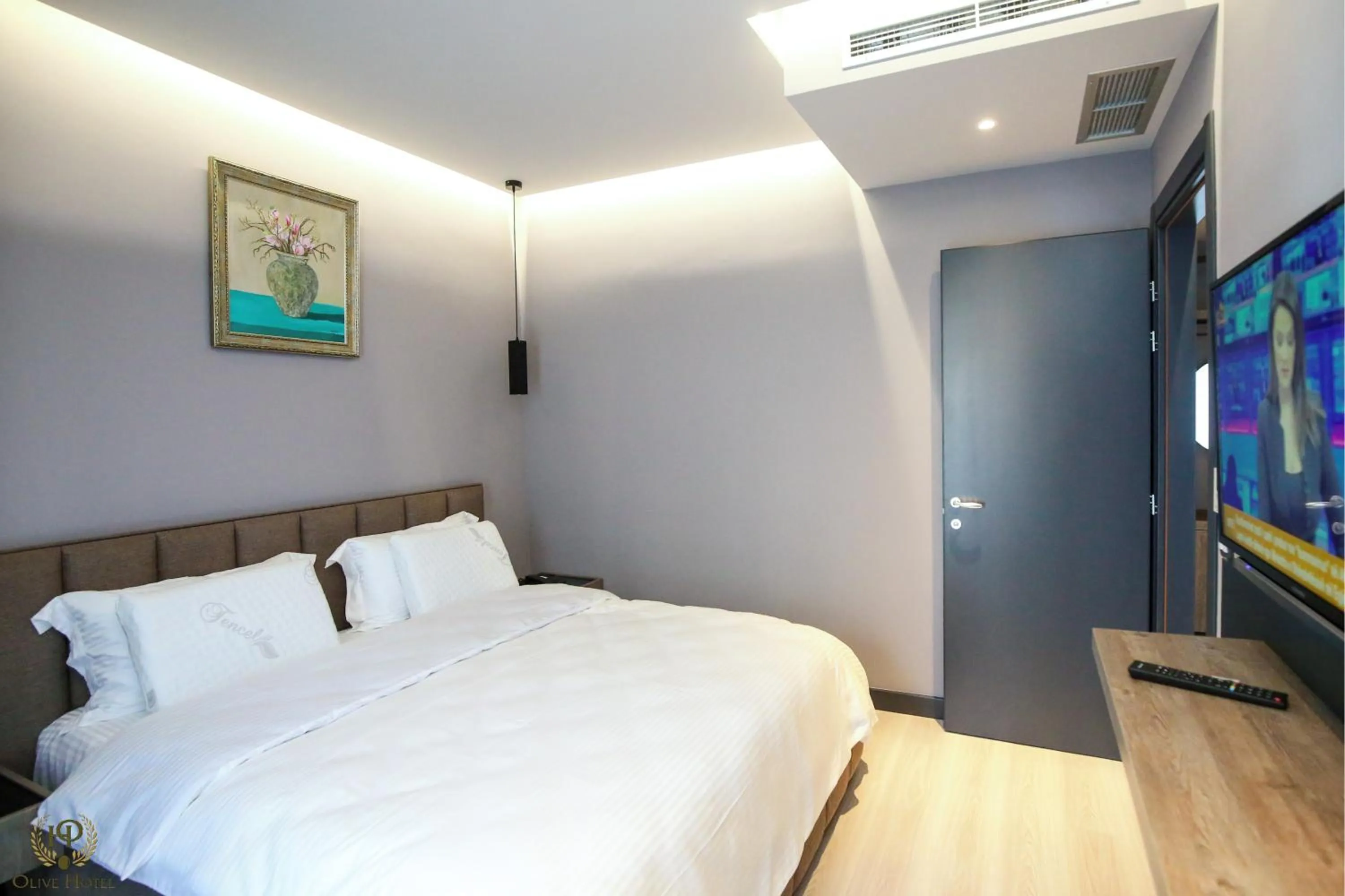 TV and multimedia in Hotel Olive