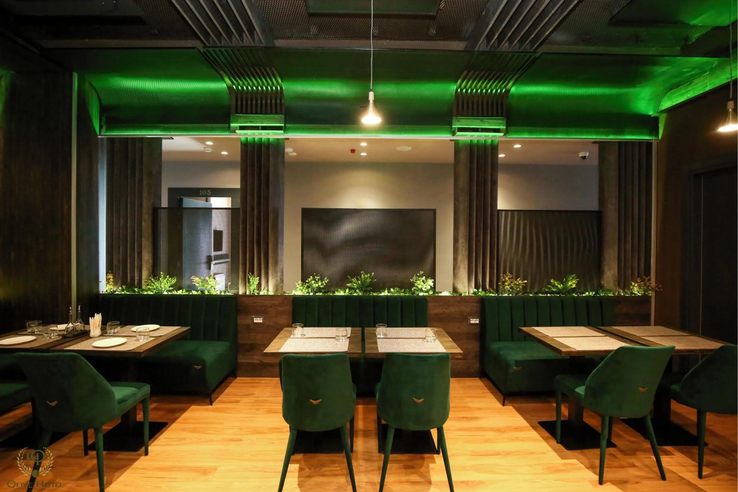 Restaurant/places to eat in Hotel Olive