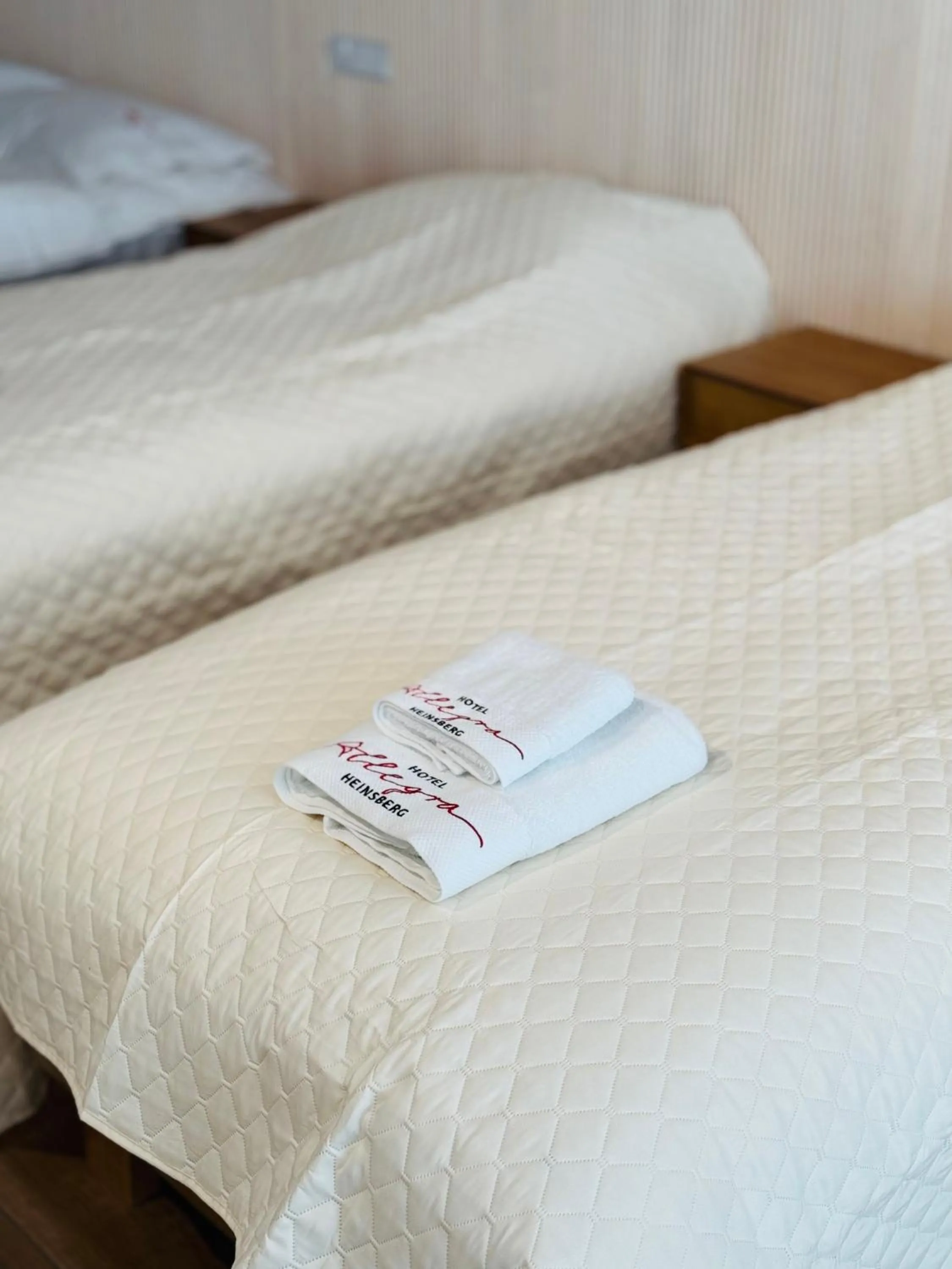 Bed in Hotel Allegra