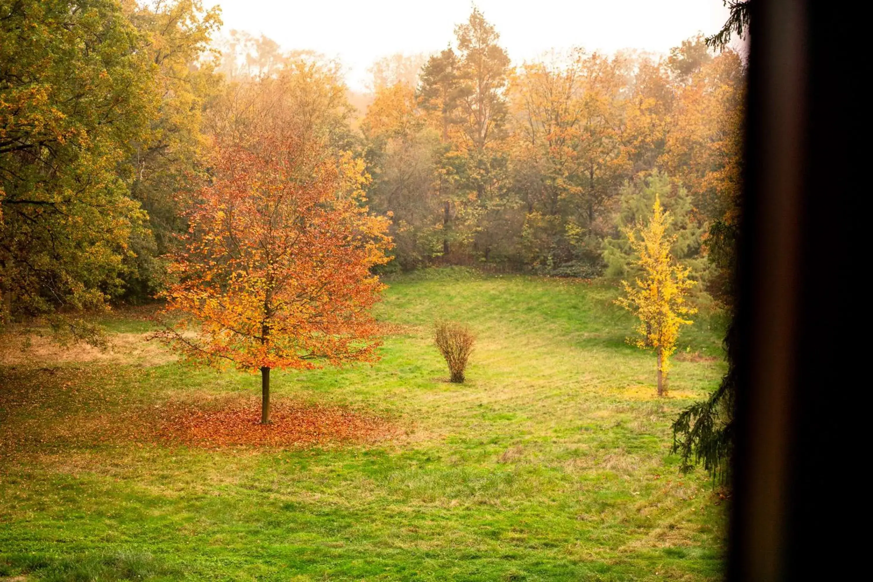 View (from property/room) in Hilton Frankfurt Gravenbruch View (from property/room) in Hilton Frankfurt Gravenbruch