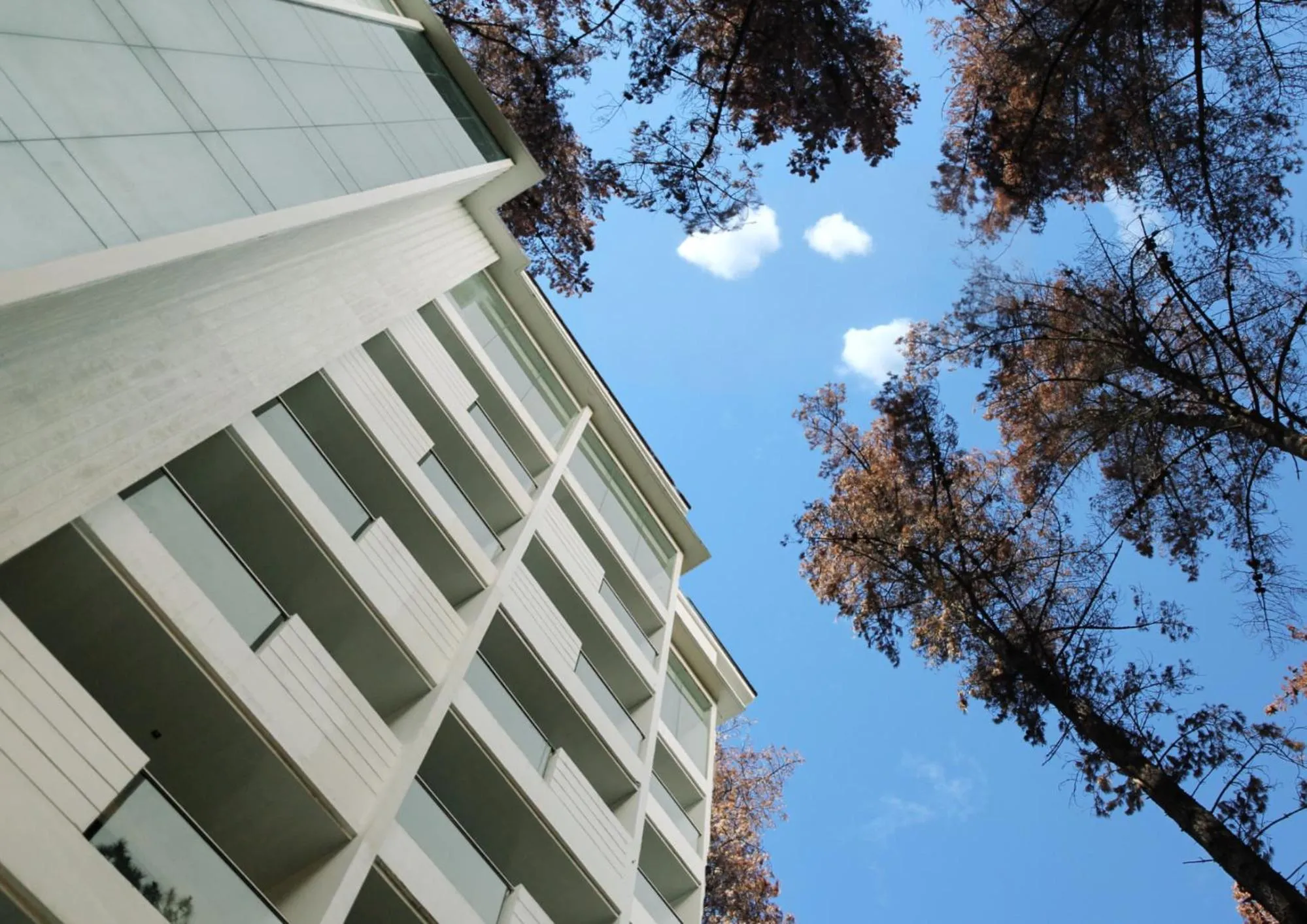 Property building in The Plaza Lodge Baguio