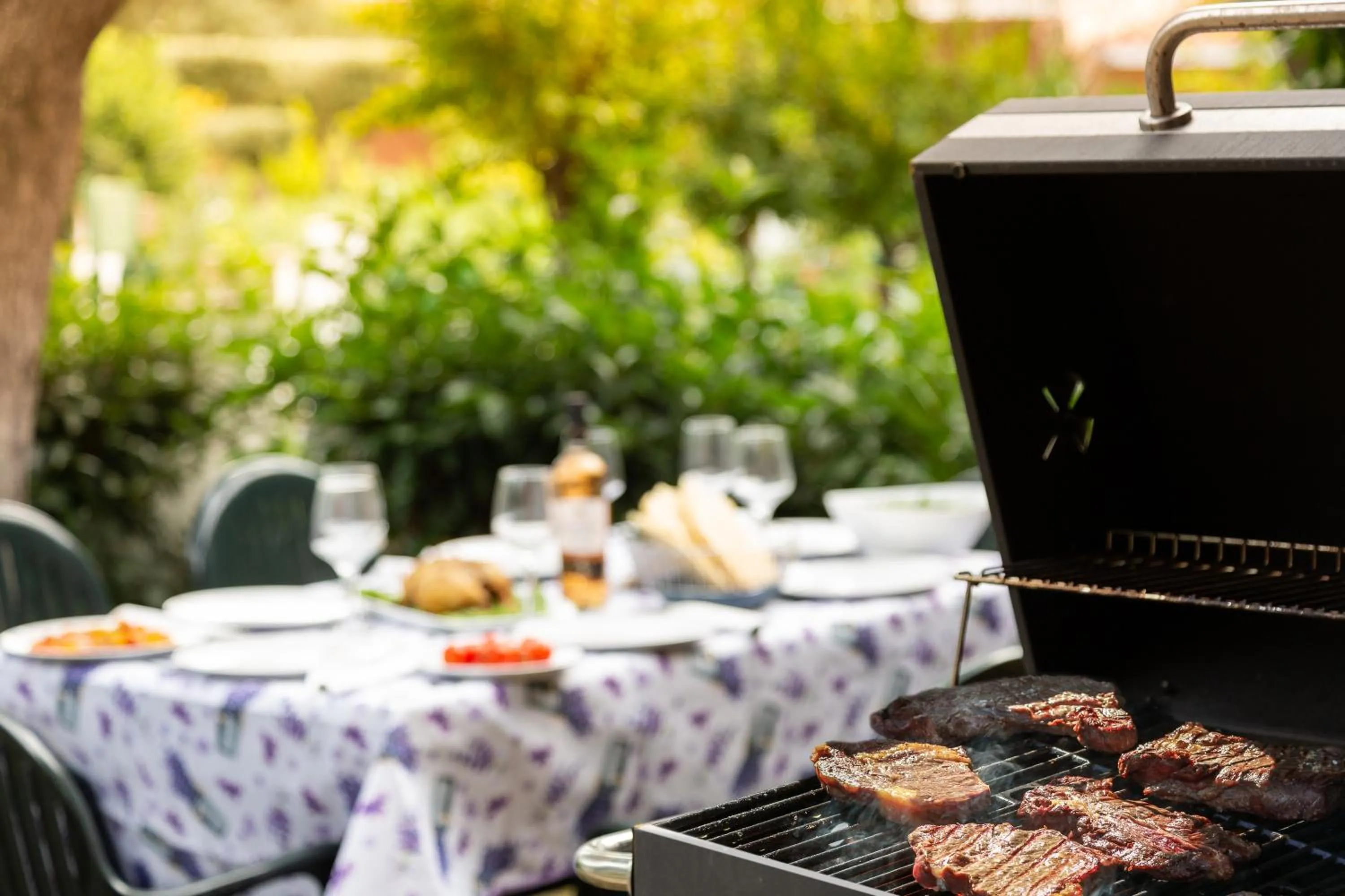 BBQ facilities in Residence il Melograno