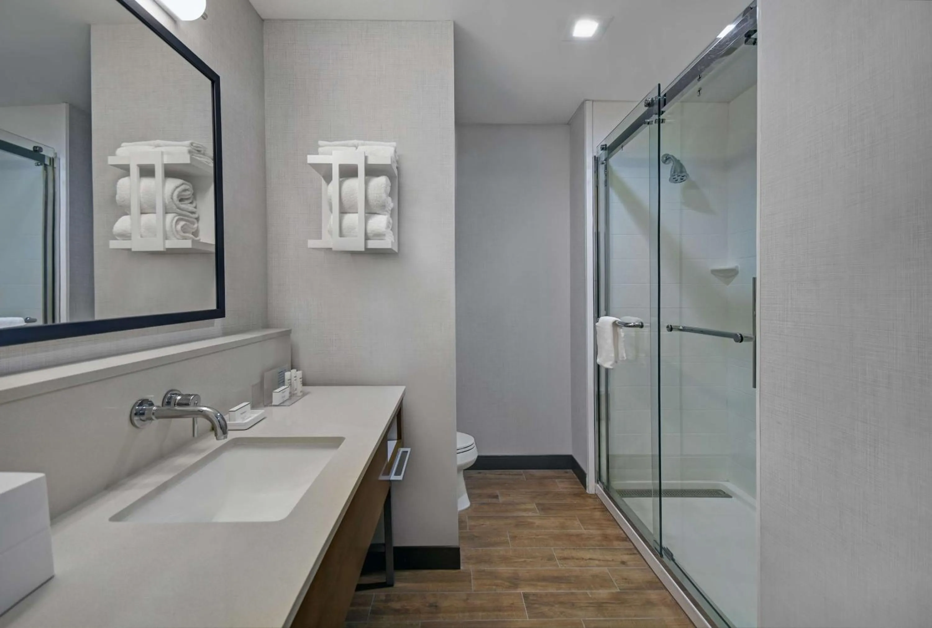 Bathroom in Hampton Inn Midland South, Tx