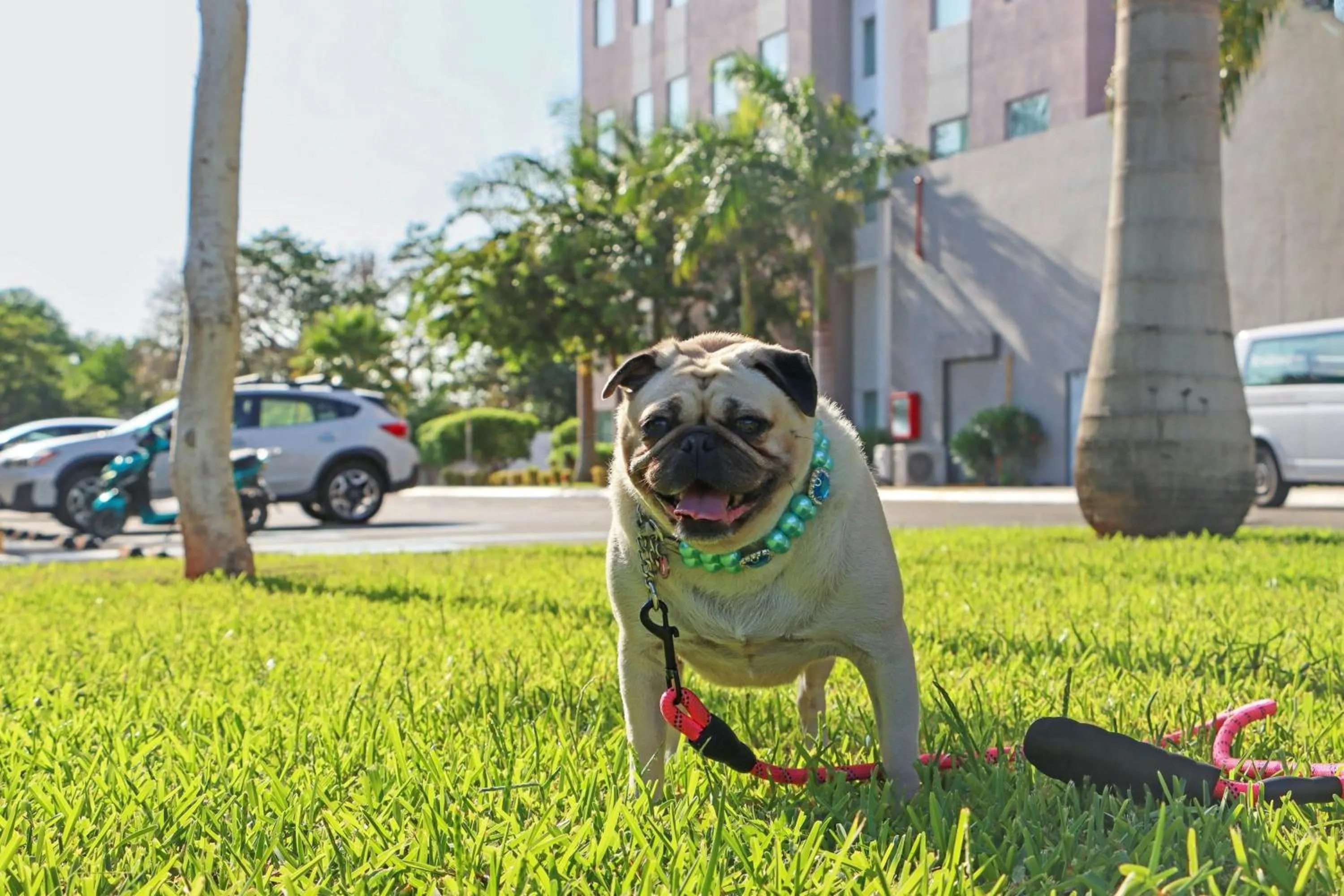 Other in Residence Inn by Marriott Merida