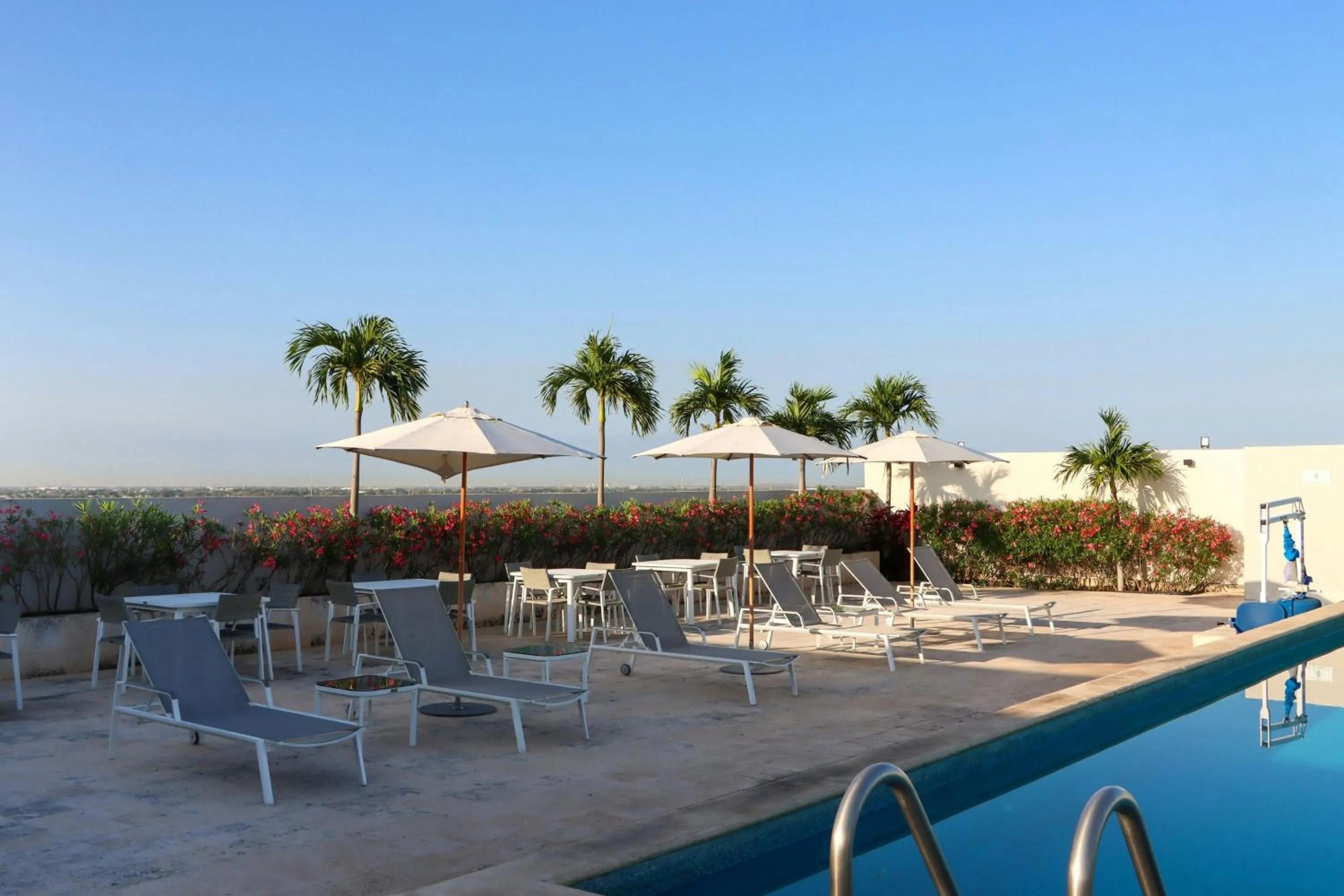 Swimming pool in Residence Inn by Marriott Merida