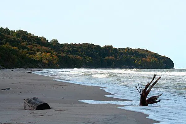 Neighbourhood in Willa Solmare