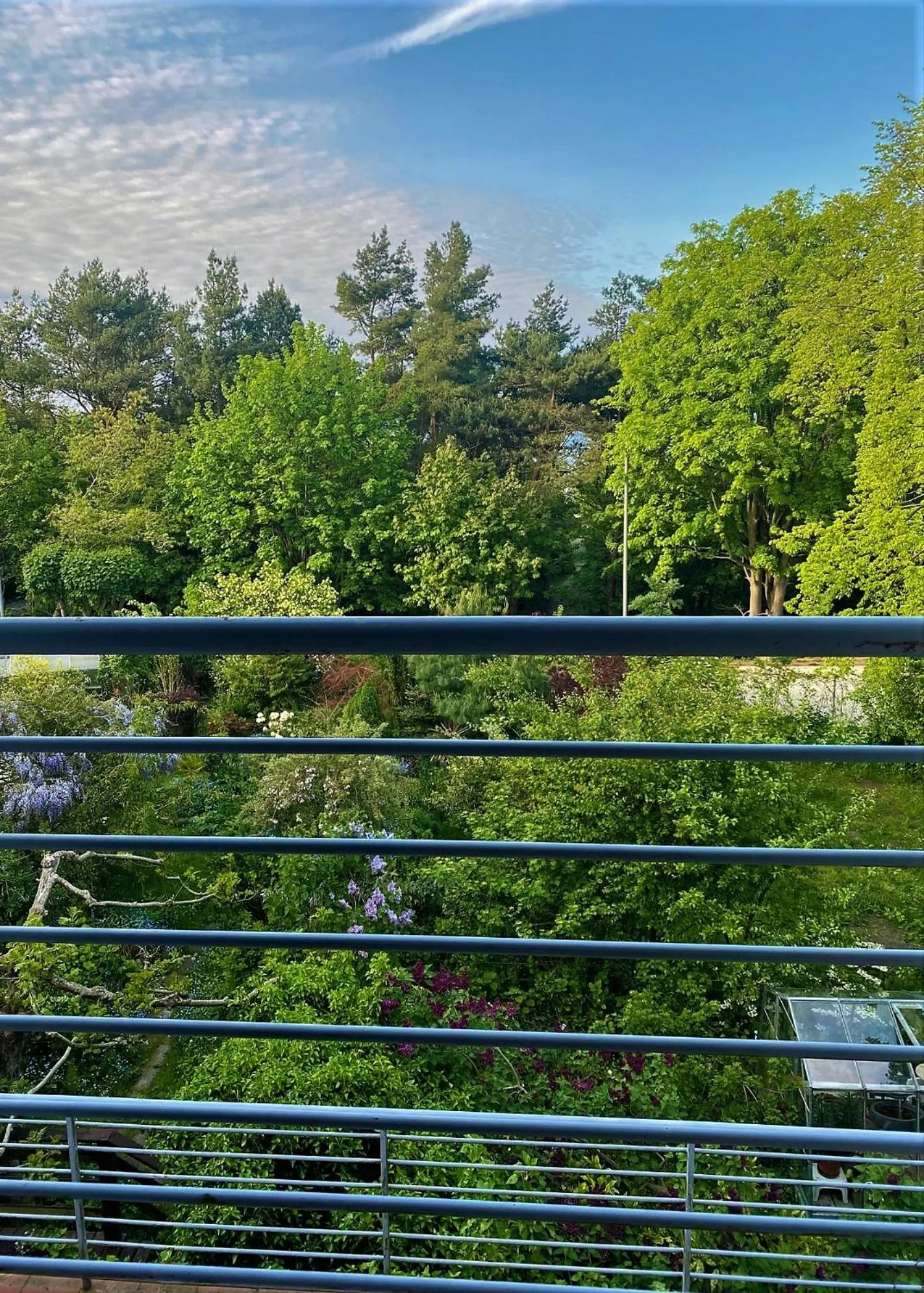 Garden view in Willa Solmare