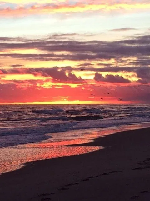 Beach in Willa Solmare