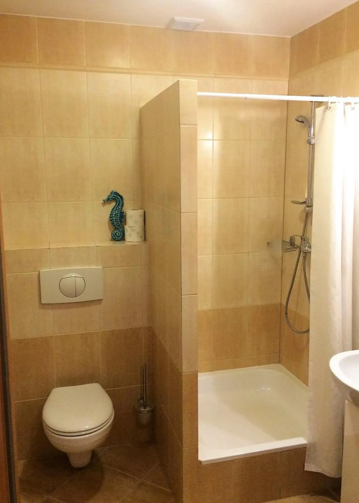 Shower in Willa Solmare