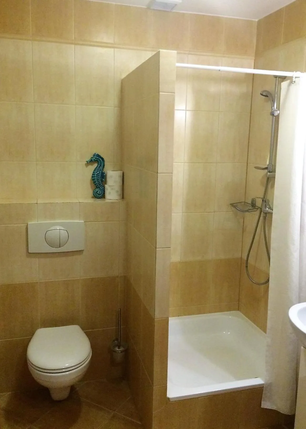 Shower in Willa Solmare