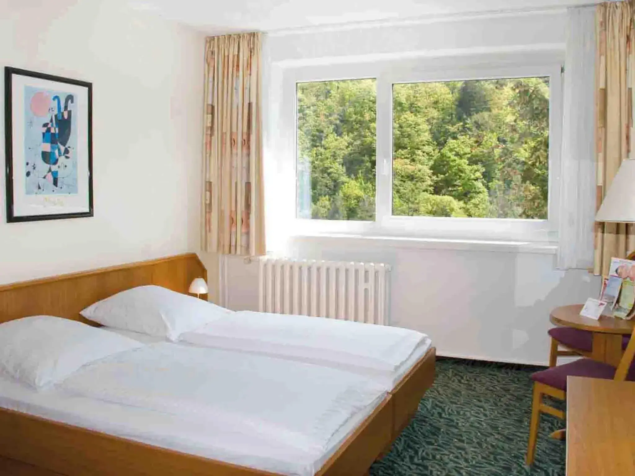 Double Room - single occupancy in Morada Hotel Alexisbad Double Room - single occupancy in Morada Hotel Alexisbad