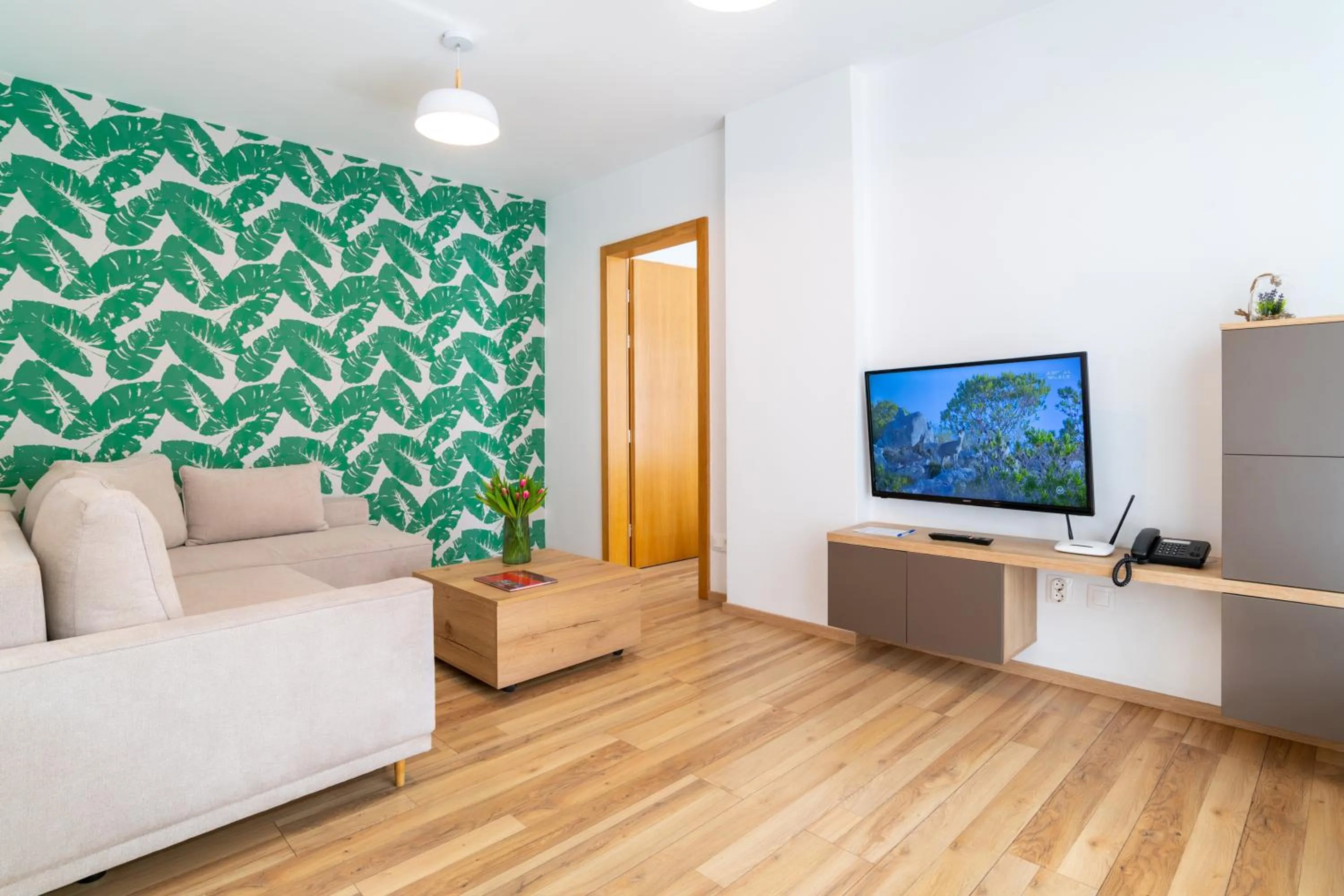 TV and multimedia in TCI Apartments