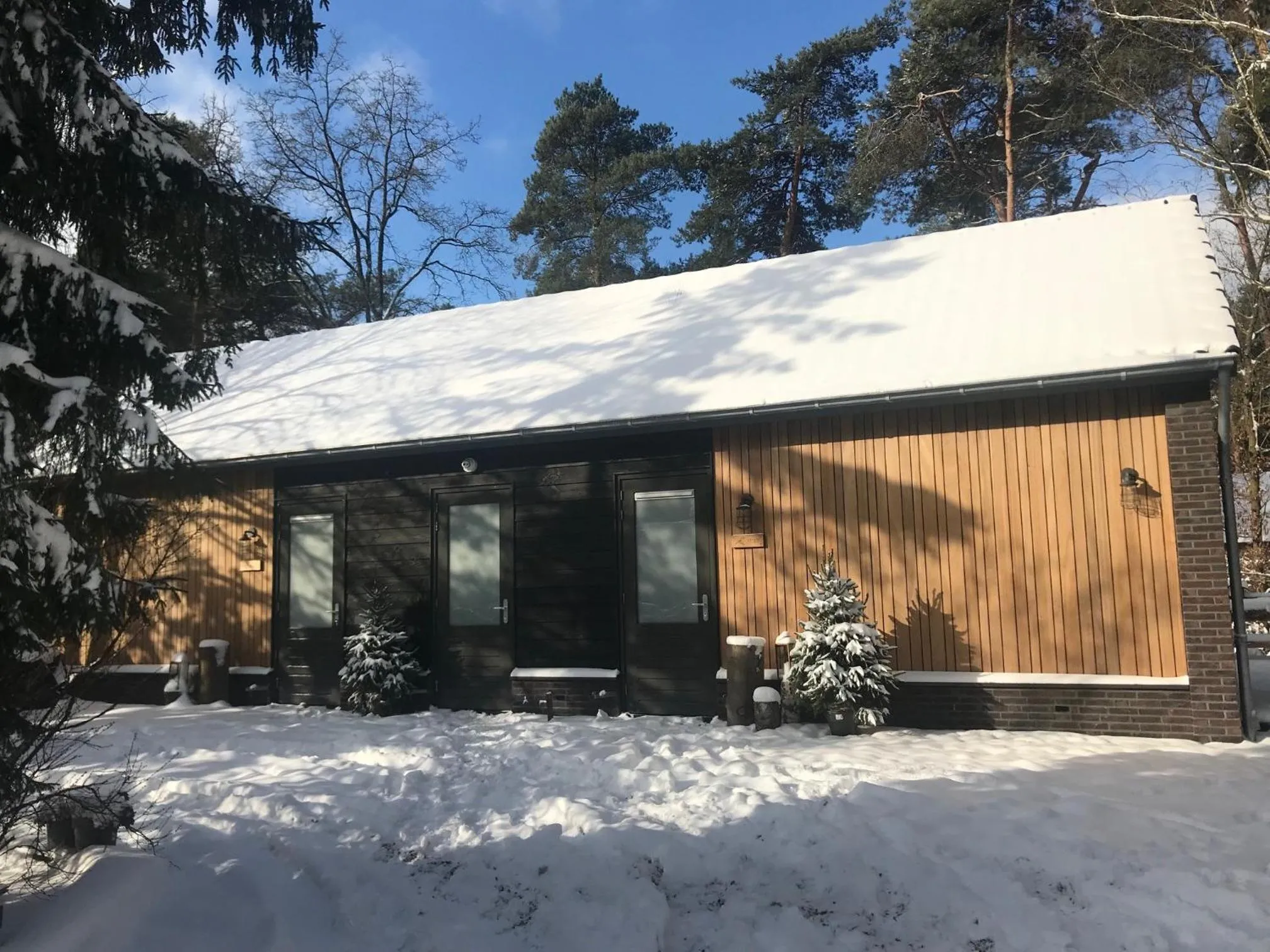 Property building in ForRest Suites