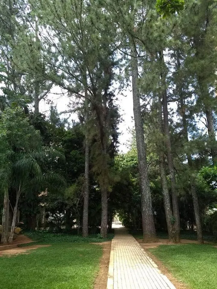 Garden in Apartamento Mundi - Império Romano - Caldas Novas