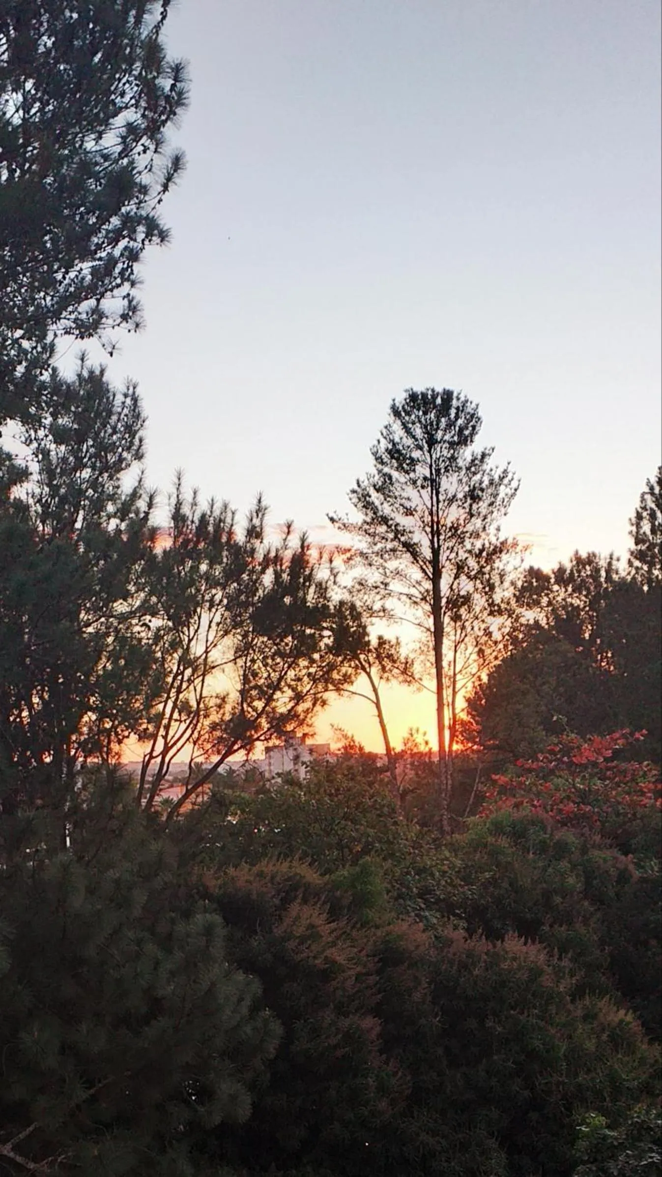 Sunset in Apartamento Mundi - Império Romano - Caldas Novas
