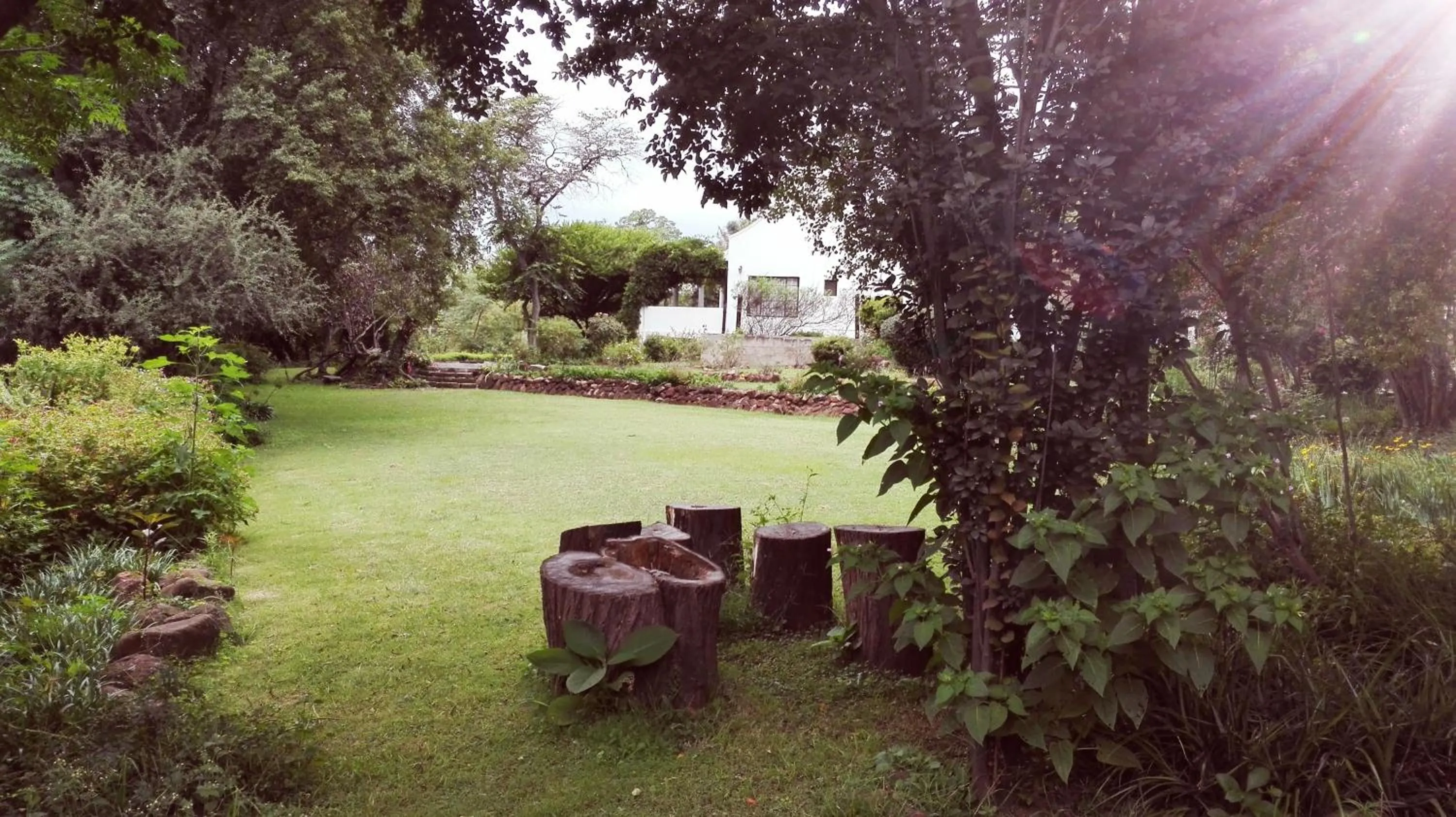 Garden in The Riverhouse Guesthouse