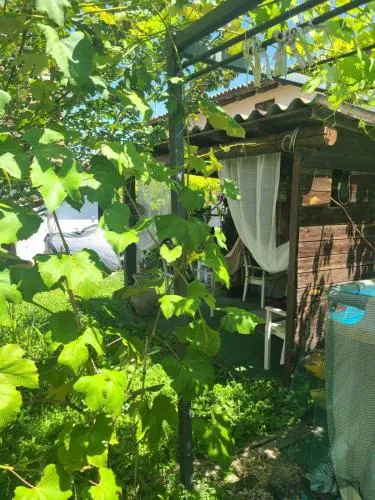 B&B Ma Maison
