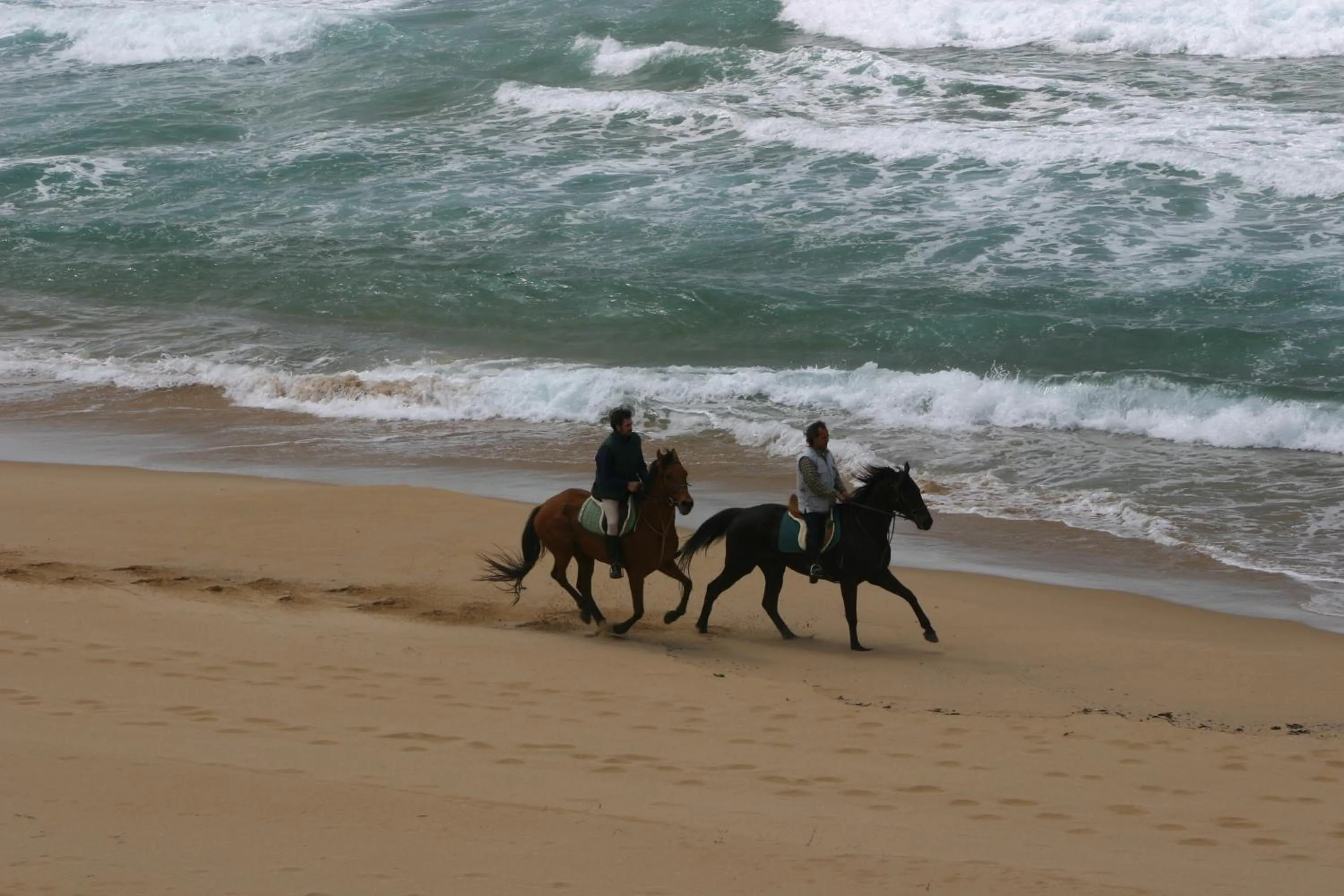 Centro di Turismo Equestre SHANGRILA'