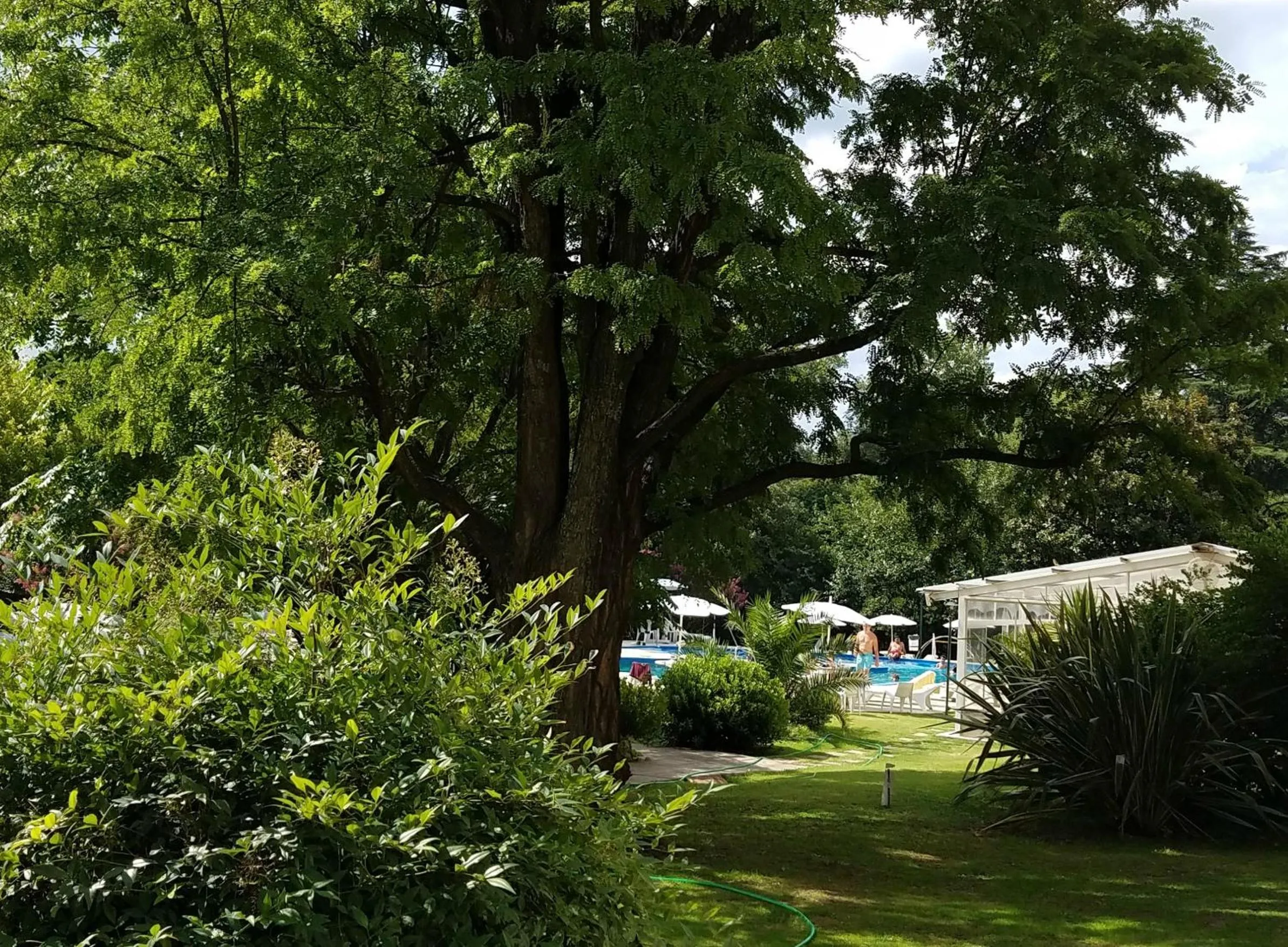 Garden in Hotel Edelweiss