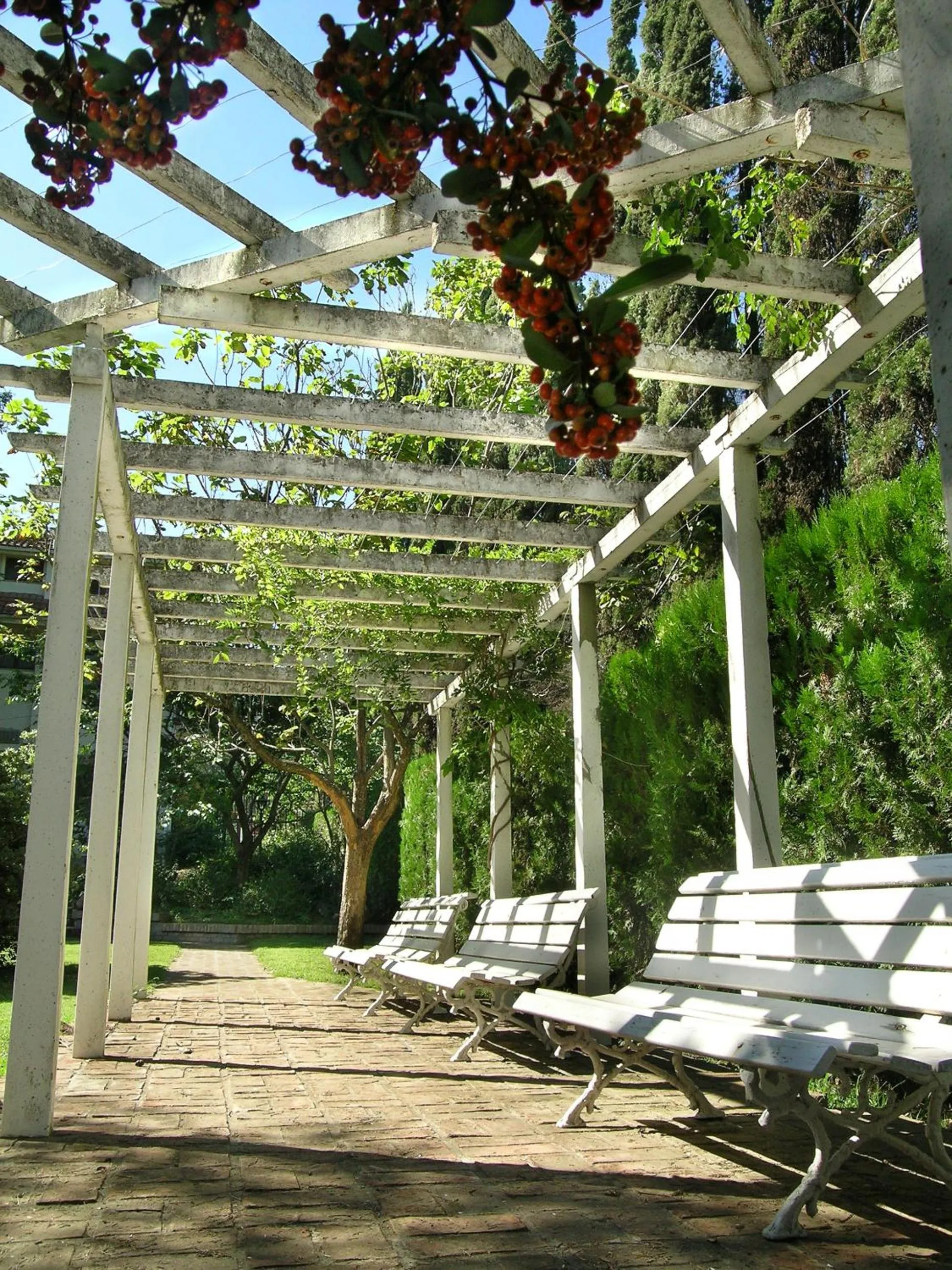 Garden in Hotel Edelweiss