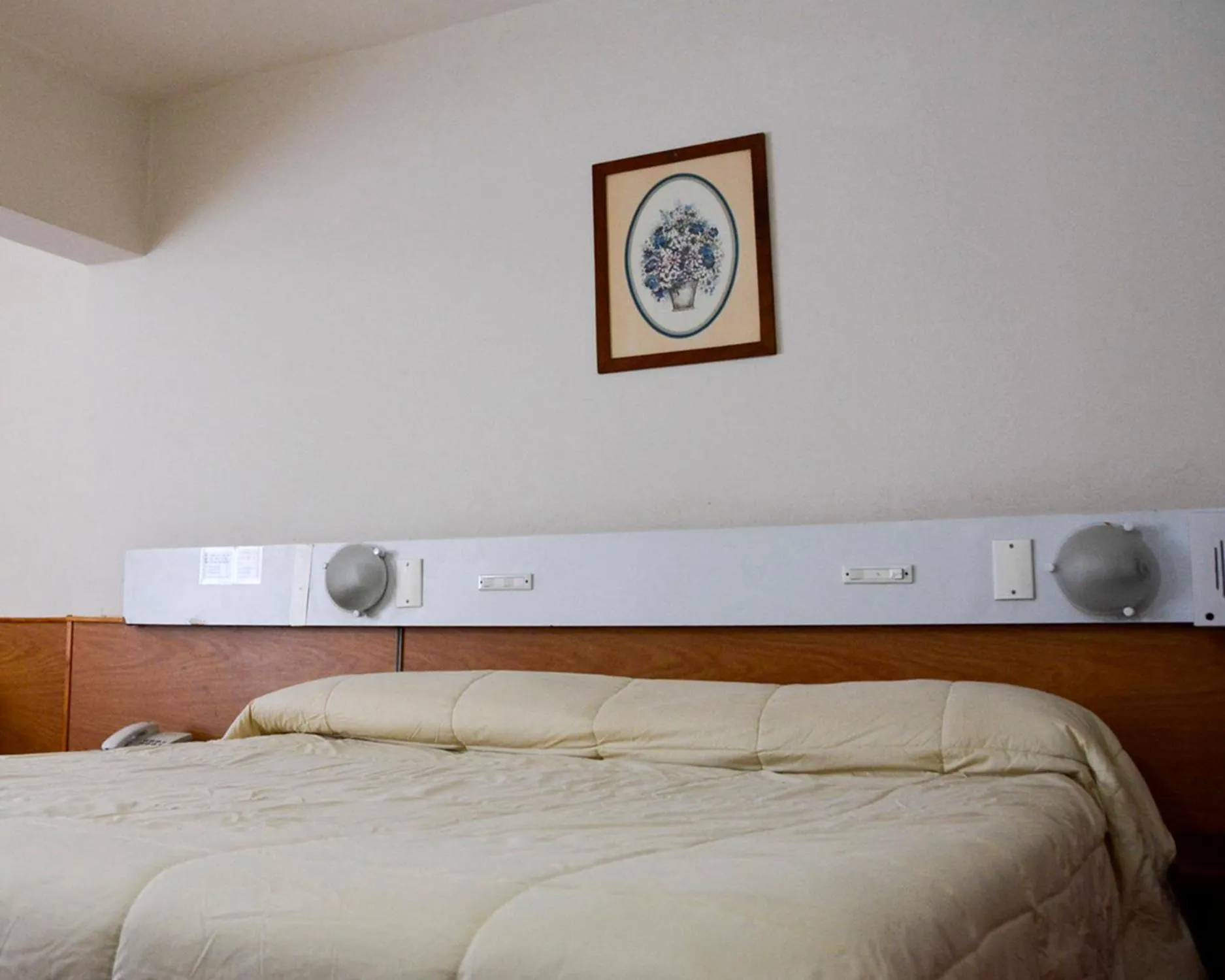 Bed in Hotel Menossi