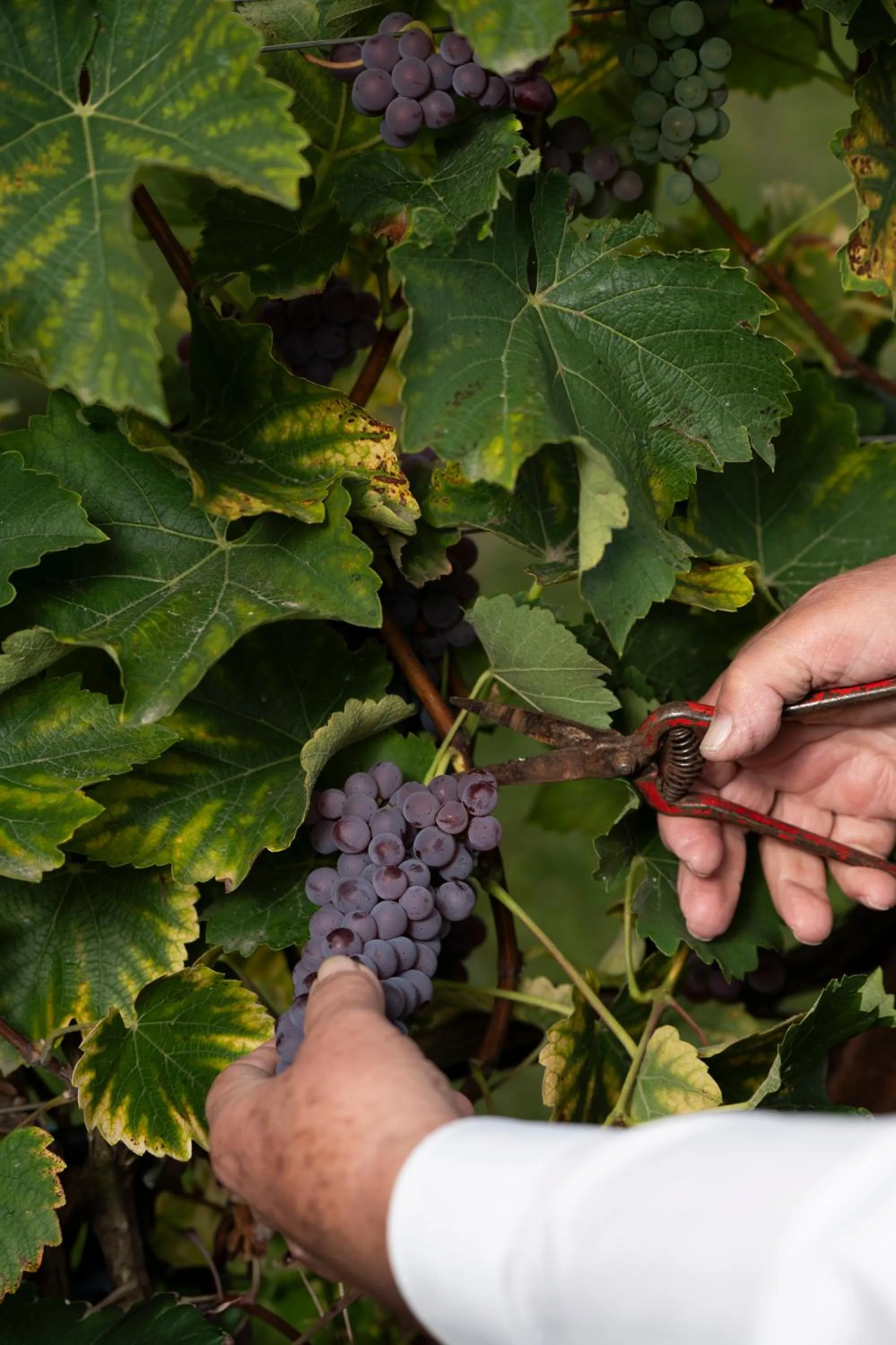 Activities in Kasteel van Ordingen