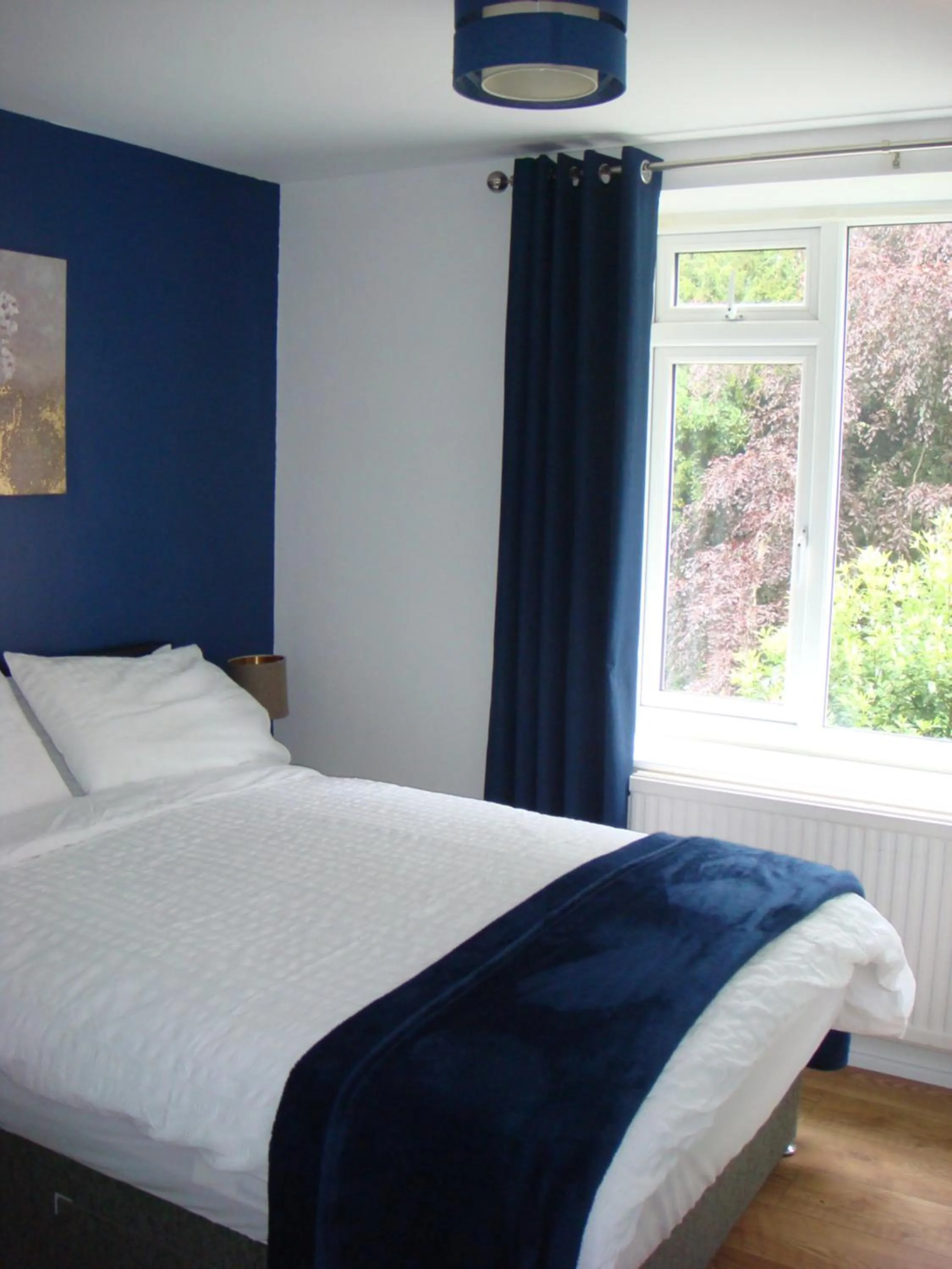 Standard Double Room - single occupancy in Salmon Leap Hotel