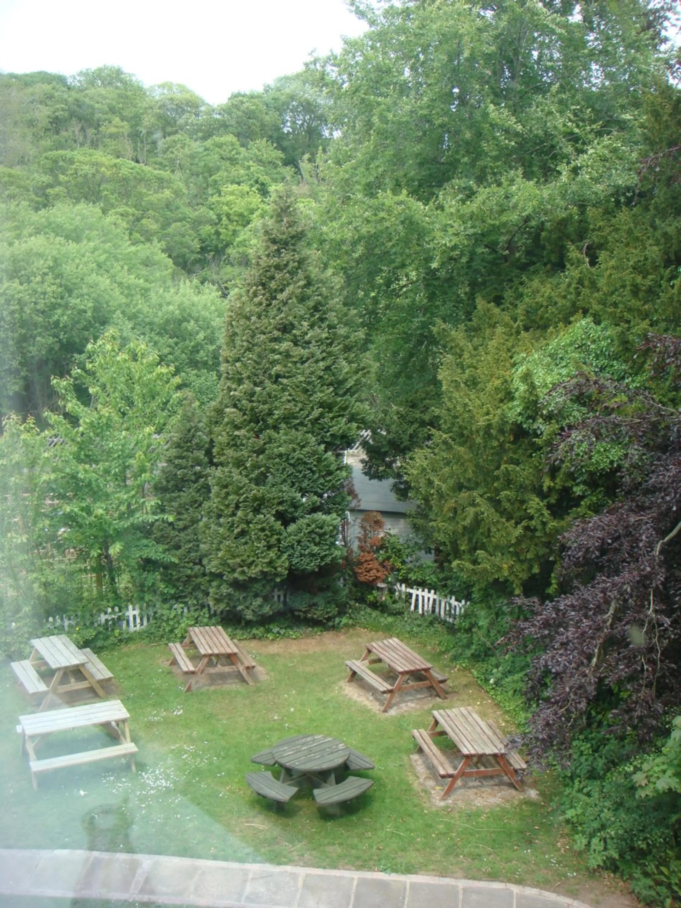 Large Double Room - single occupancy in Salmon Leap Hotel
