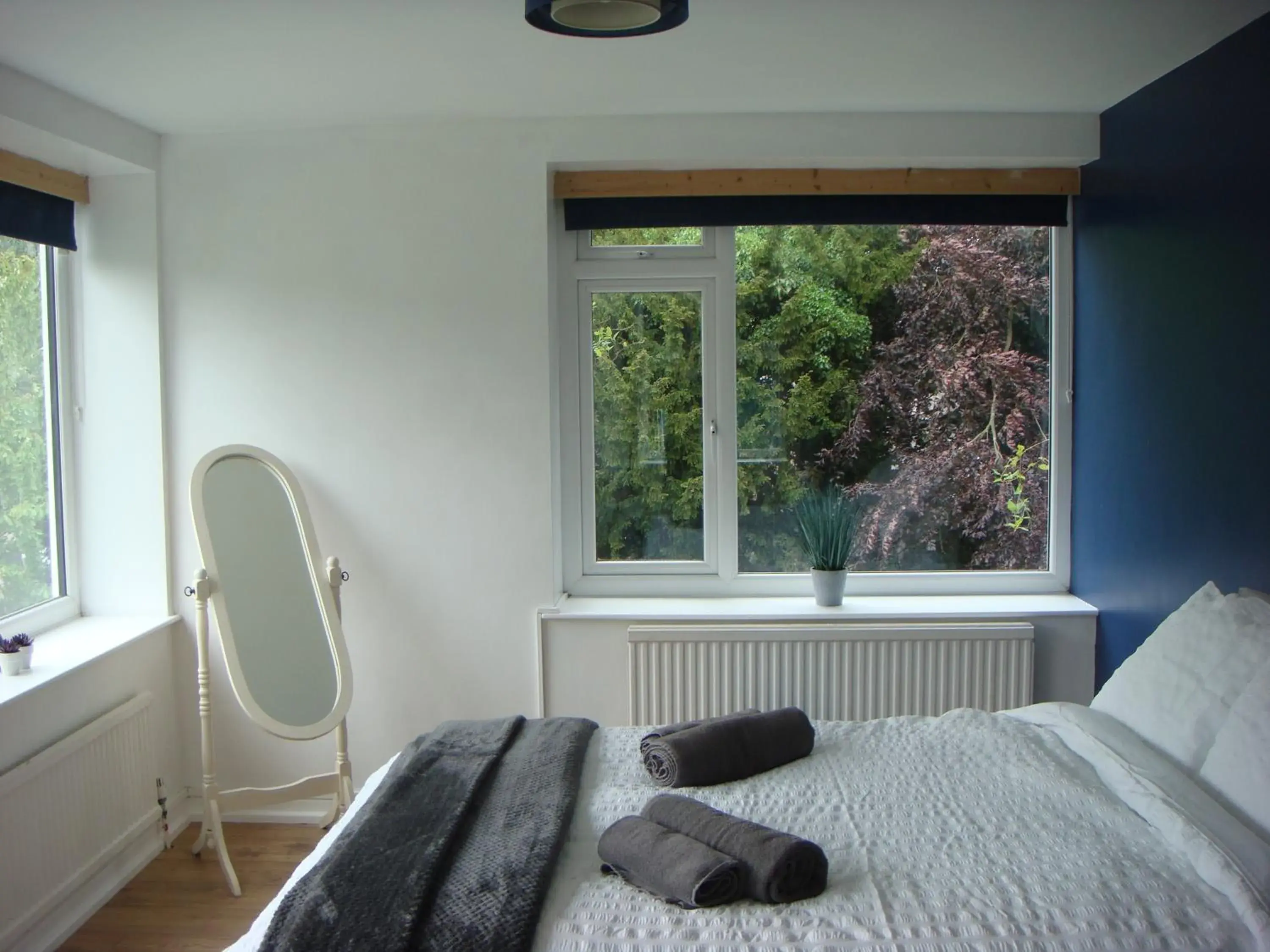 Deluxe Double Room with Shower - single occupancy in Salmon Leap Hotel Deluxe Double Room with Shower - single occupancy in Salmon Leap Hotel