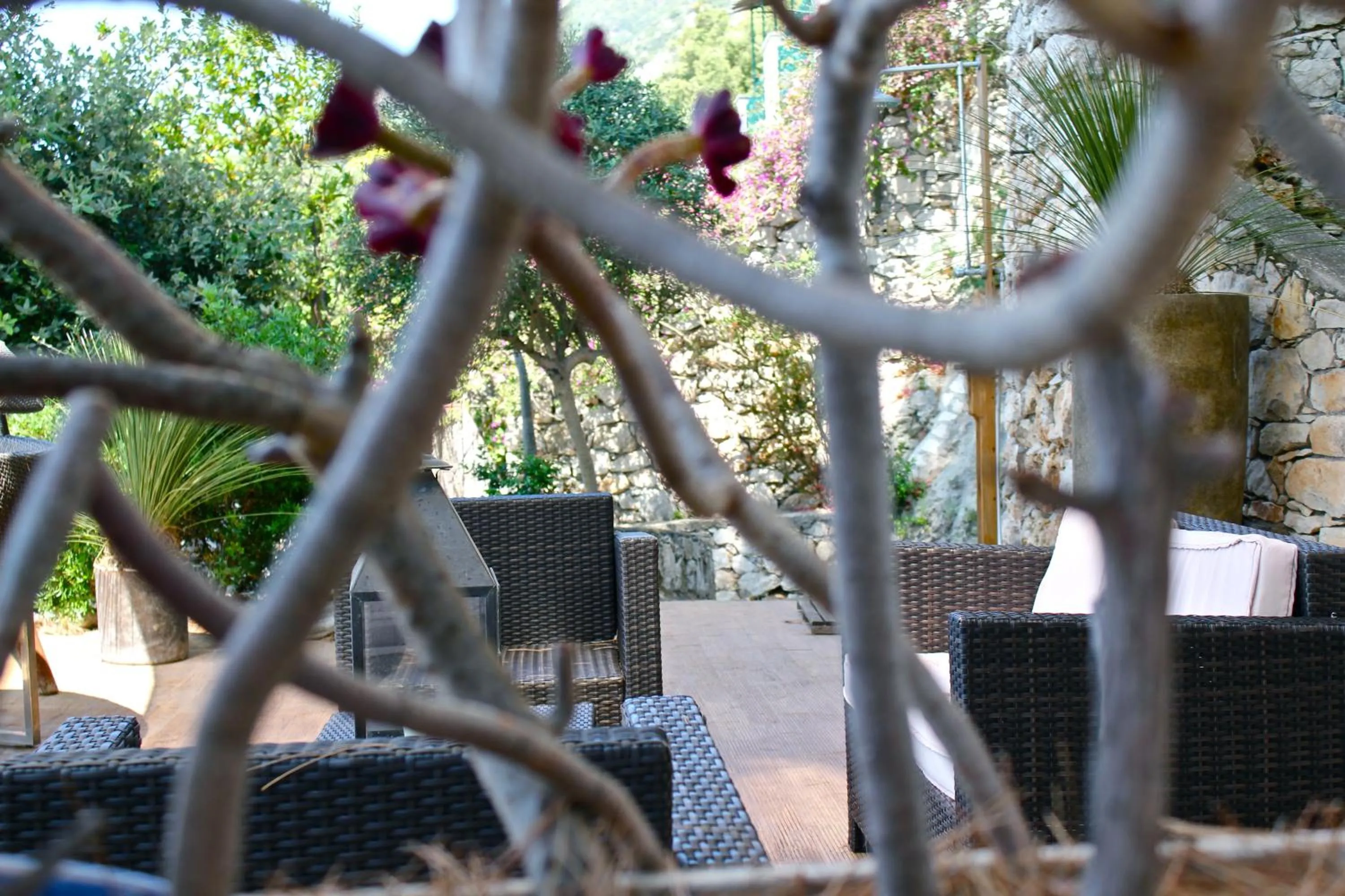 Garden in Claro De Lua Circeo B&B