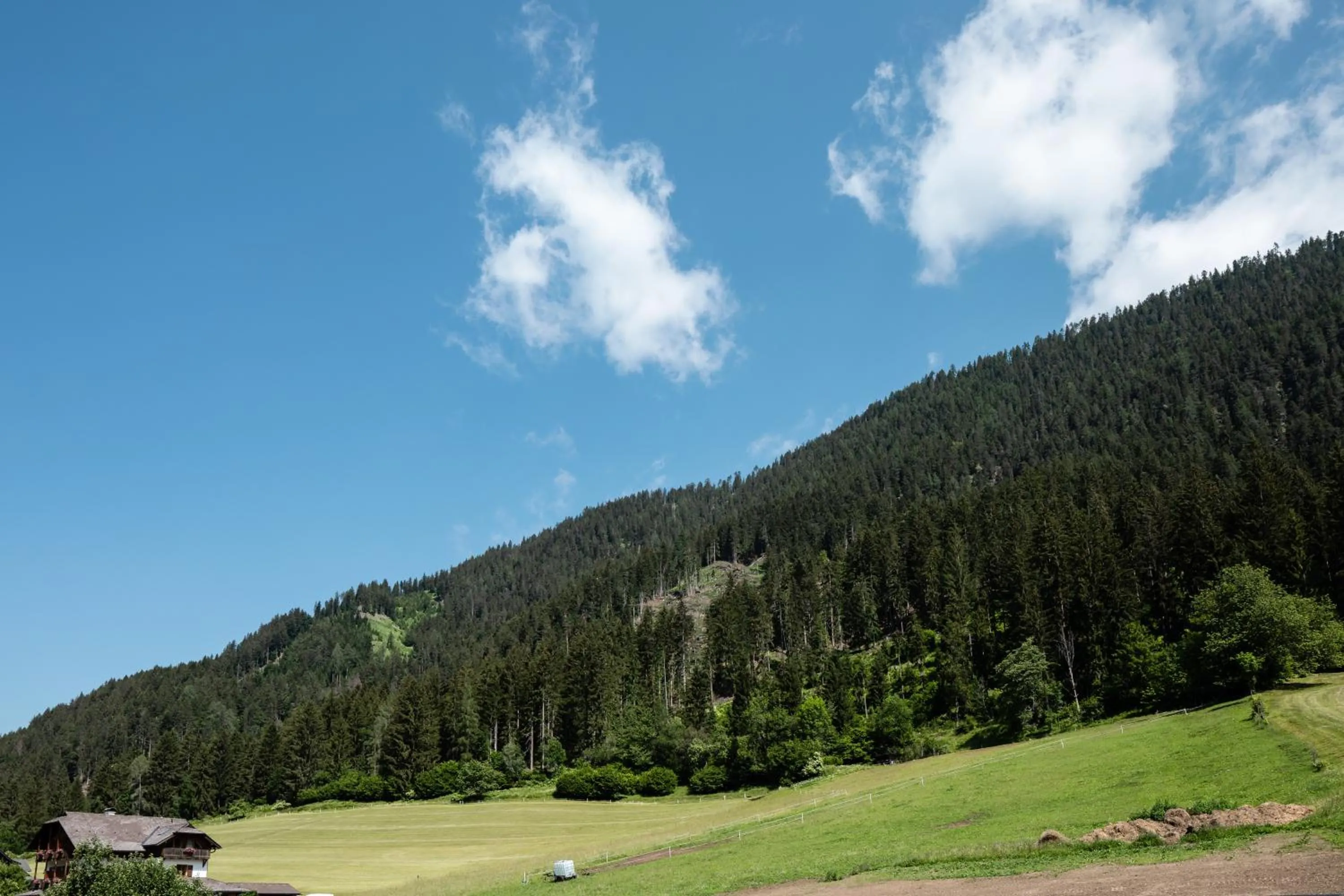 Summer in Hotel Neusacherhof