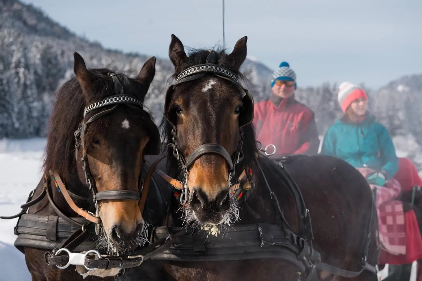 Winter in Hotel Neusacherhof