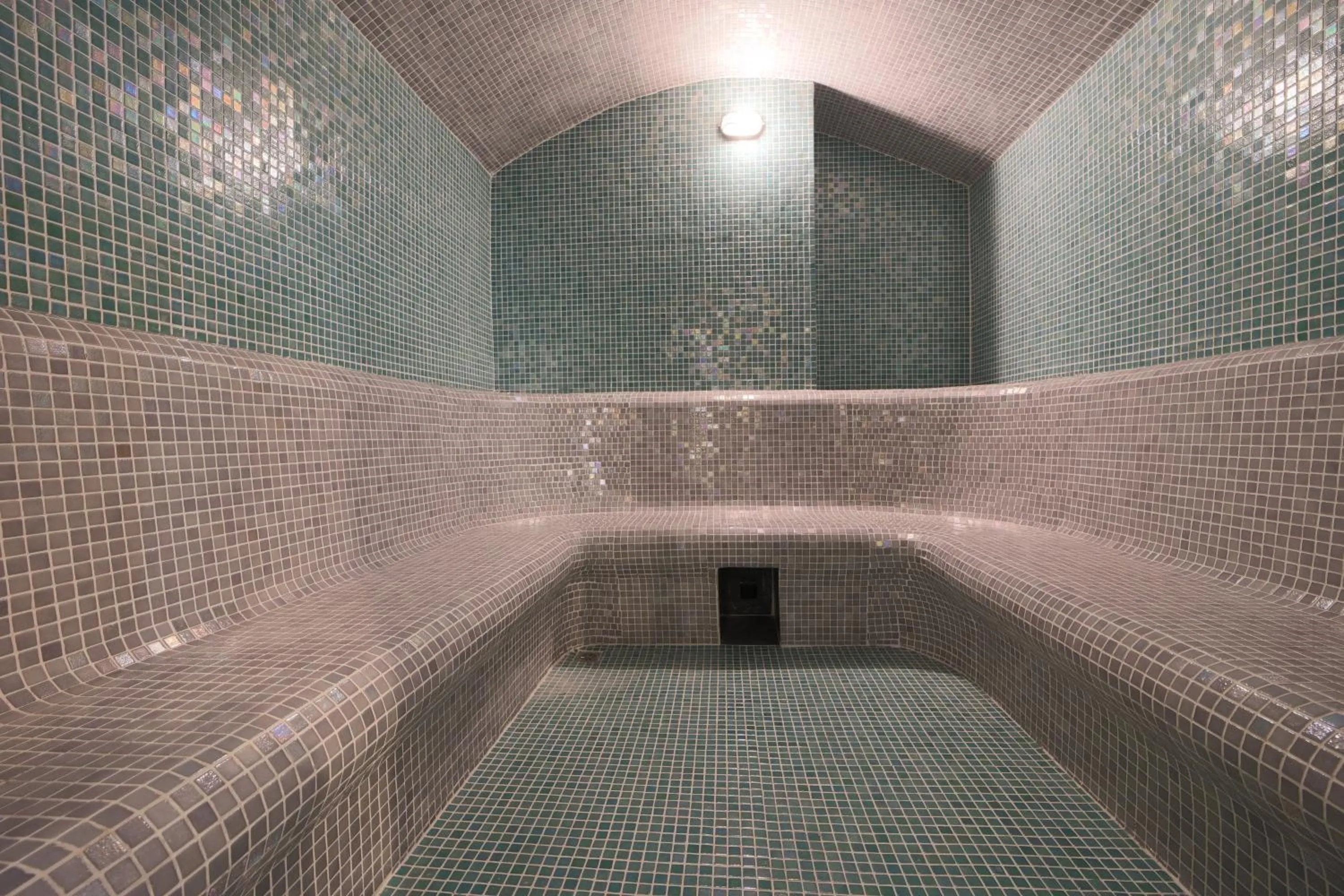 Sauna in Sky Tree Hotel by New World Hospitality