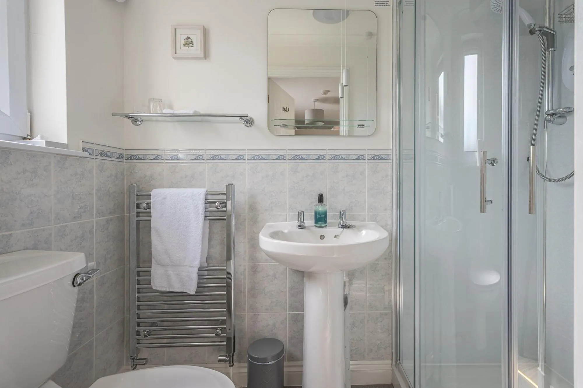 Shower in Blue Swallow