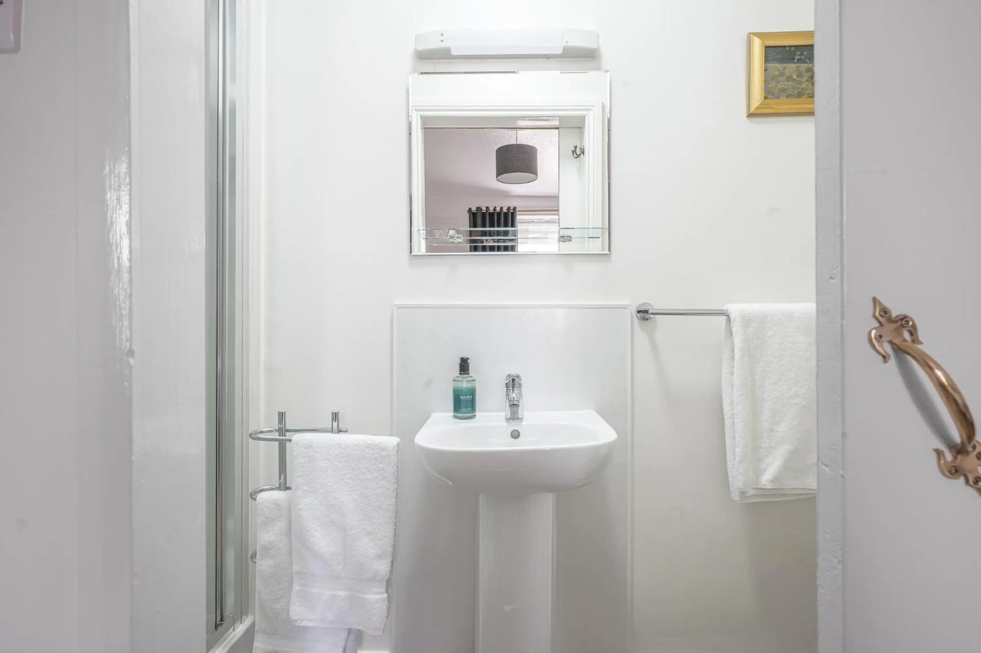 Shower in Blue Swallow