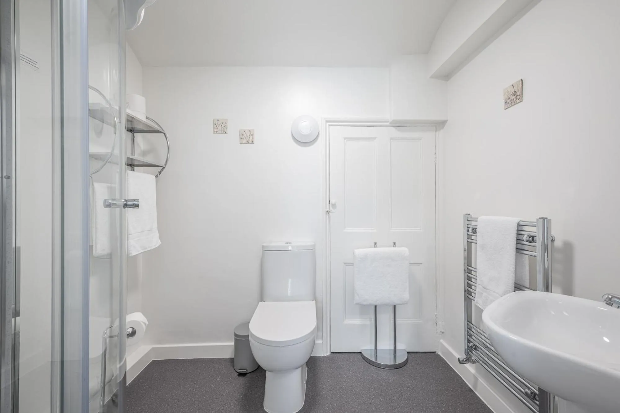 Shower in Blue Swallow