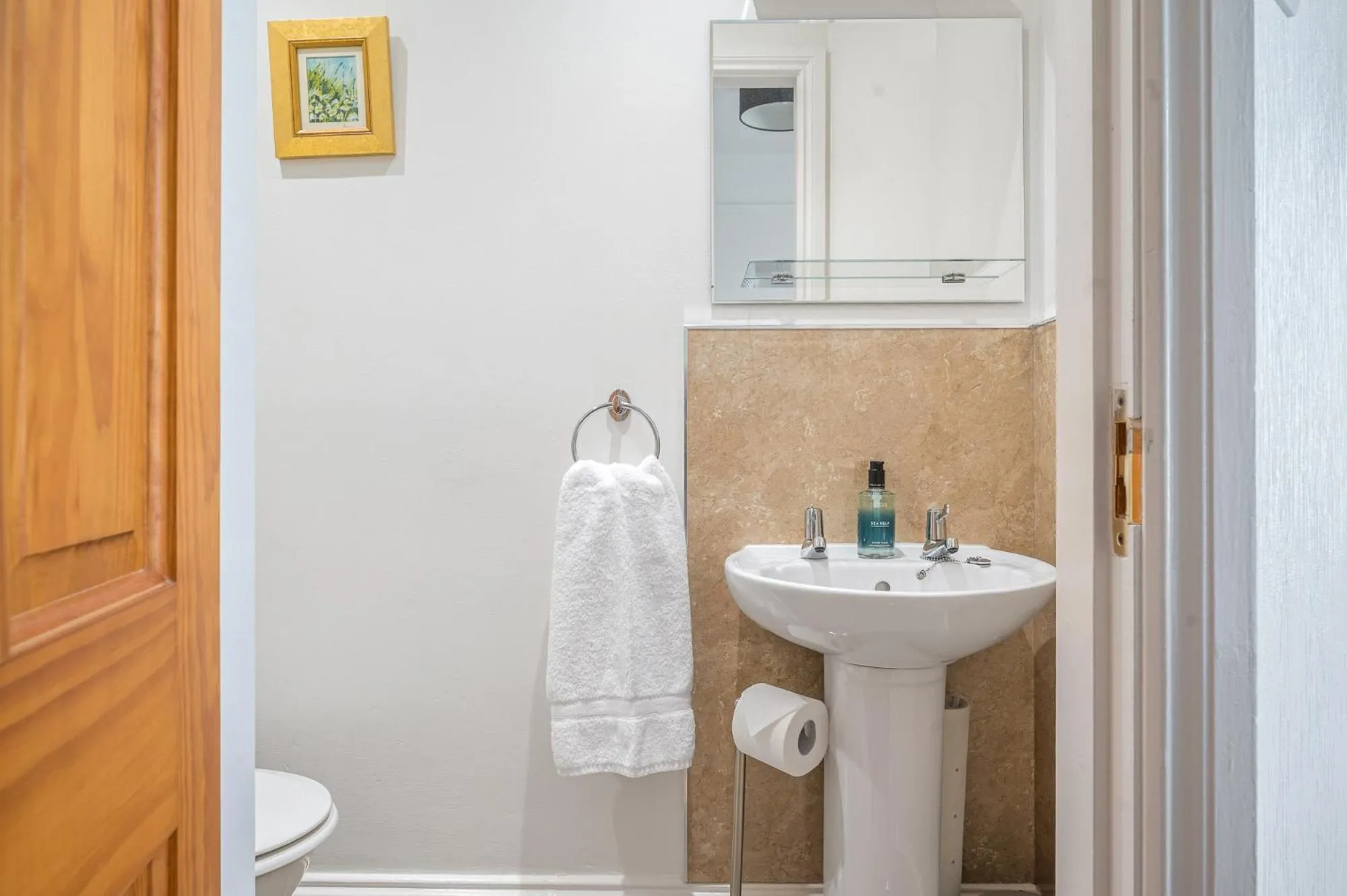 Shower in Blue Swallow