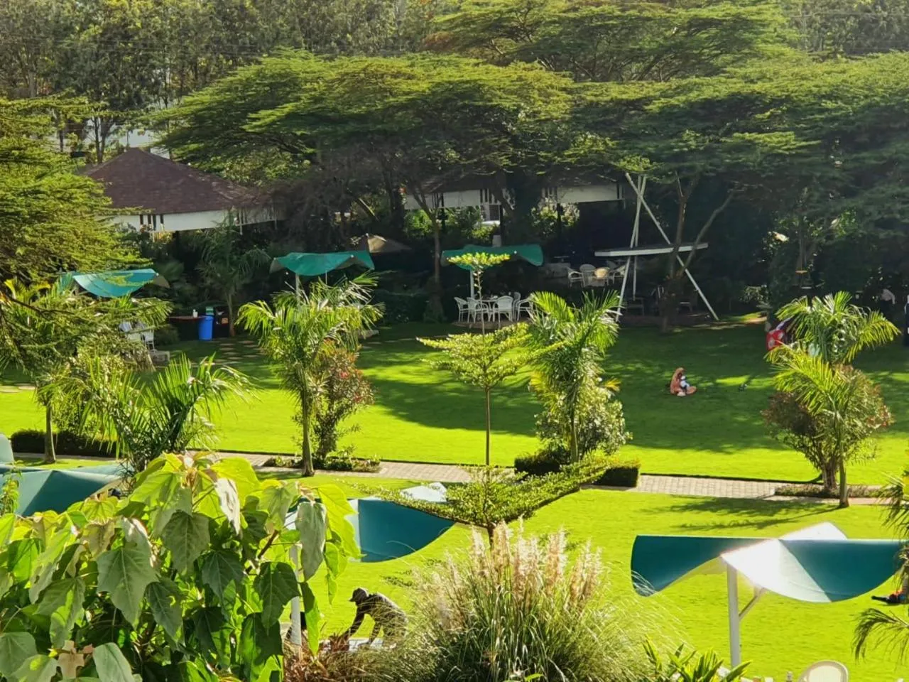 Garden view in Asyana Gardens