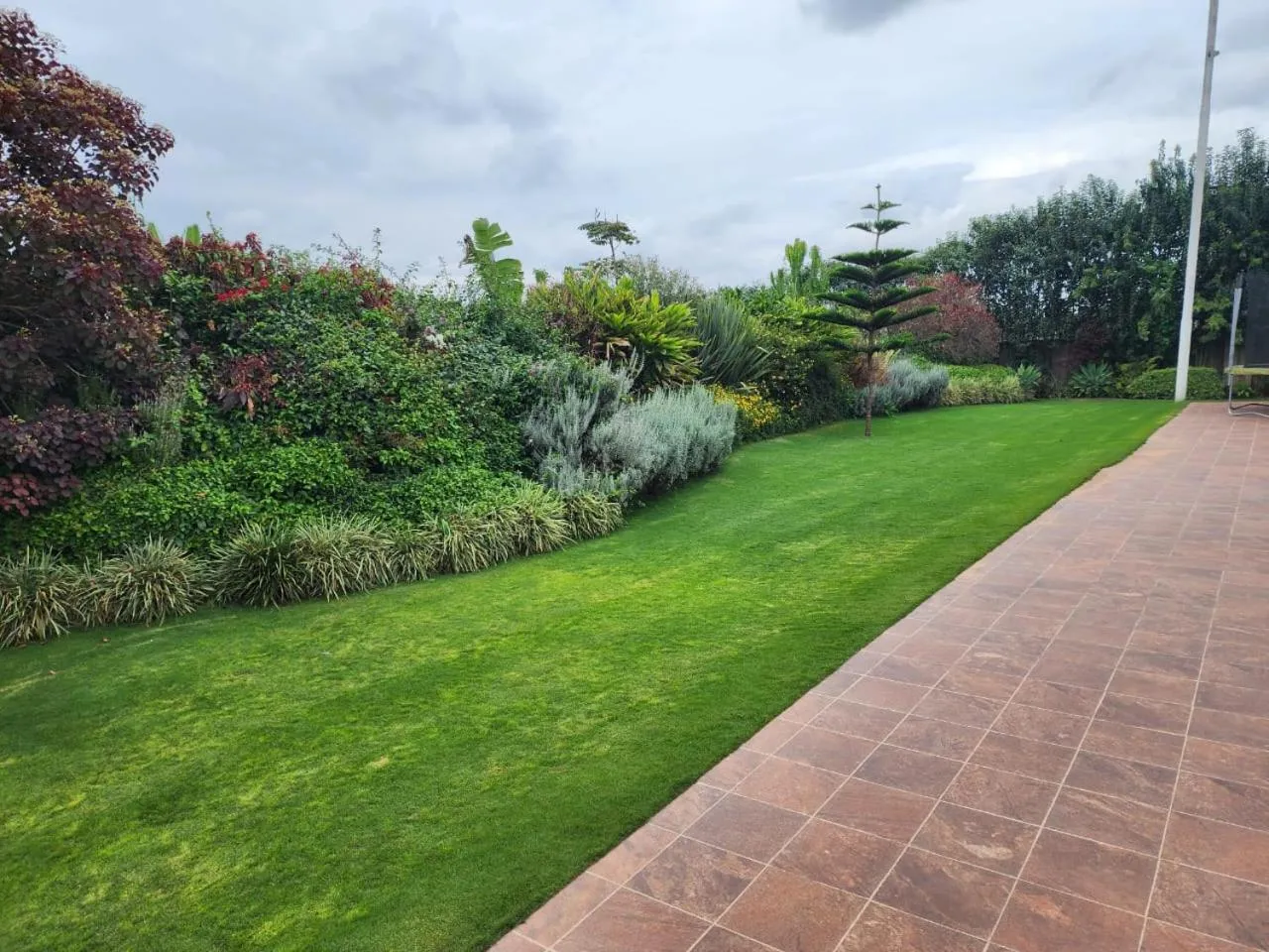 Garden in Asyana Gardens