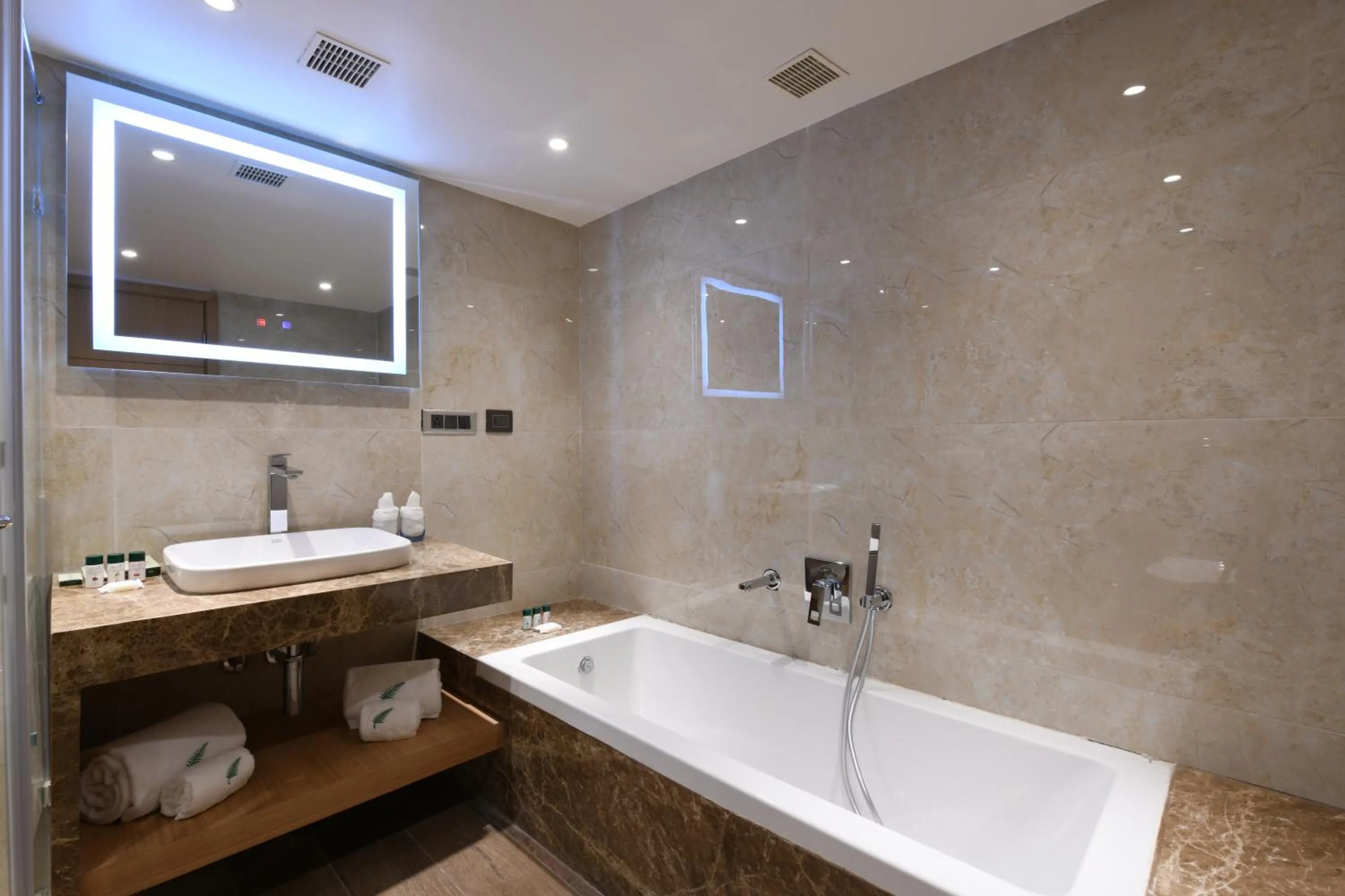 Bathroom in Harsha The Fern Shivamogga